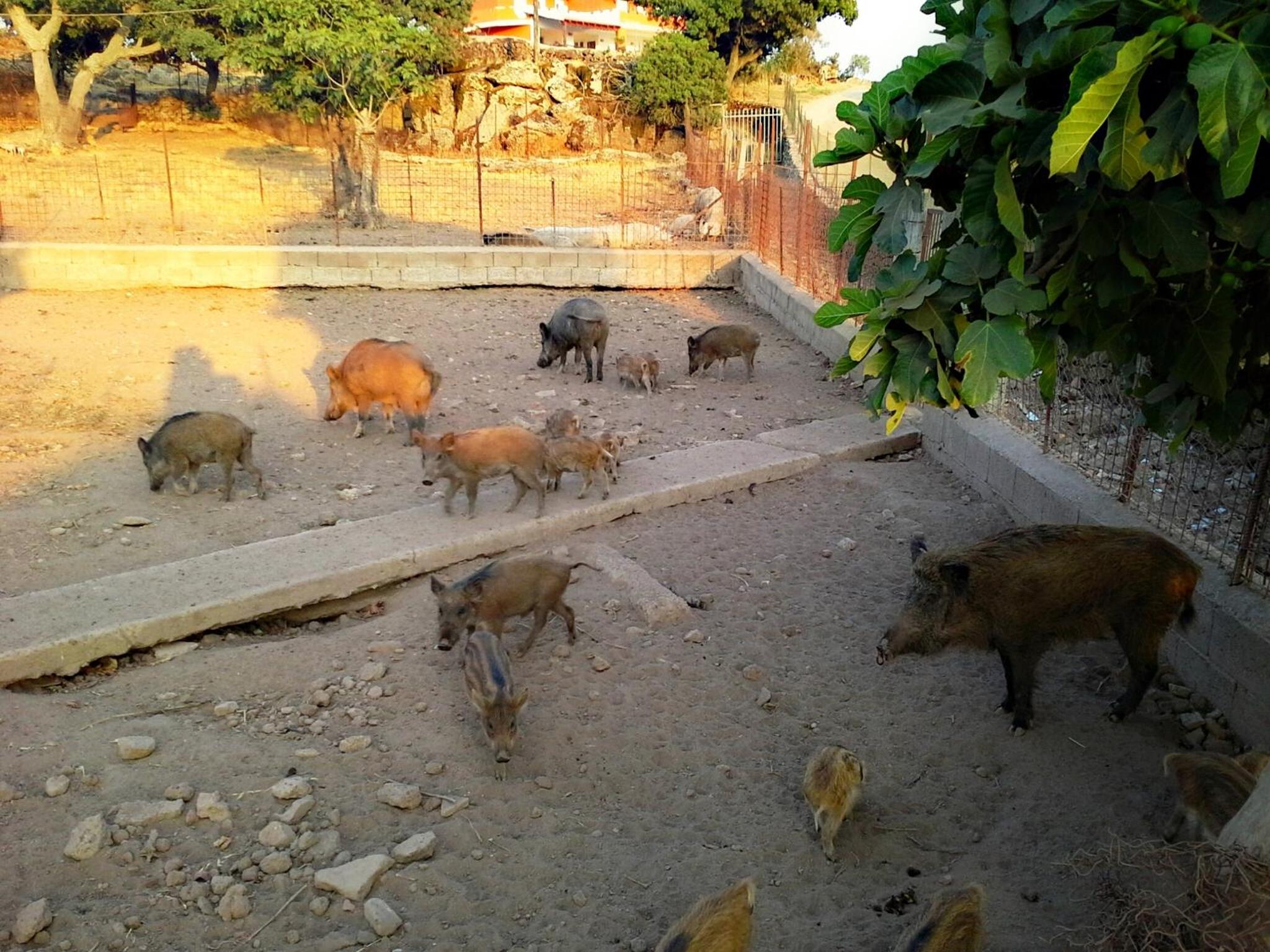 Photo 23