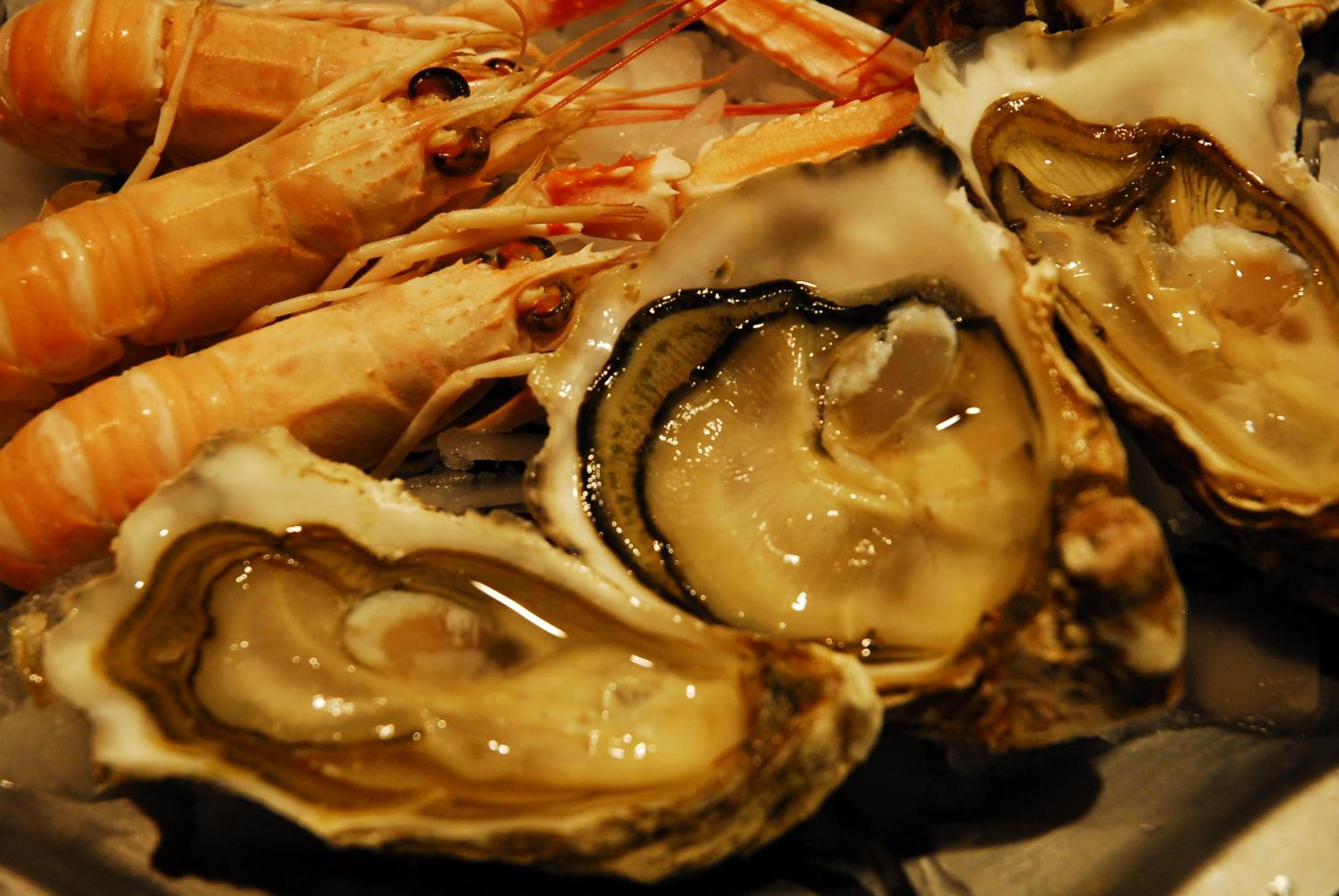 Chambres d'Hotes Le Logis du Port Paradis - Property Image 5