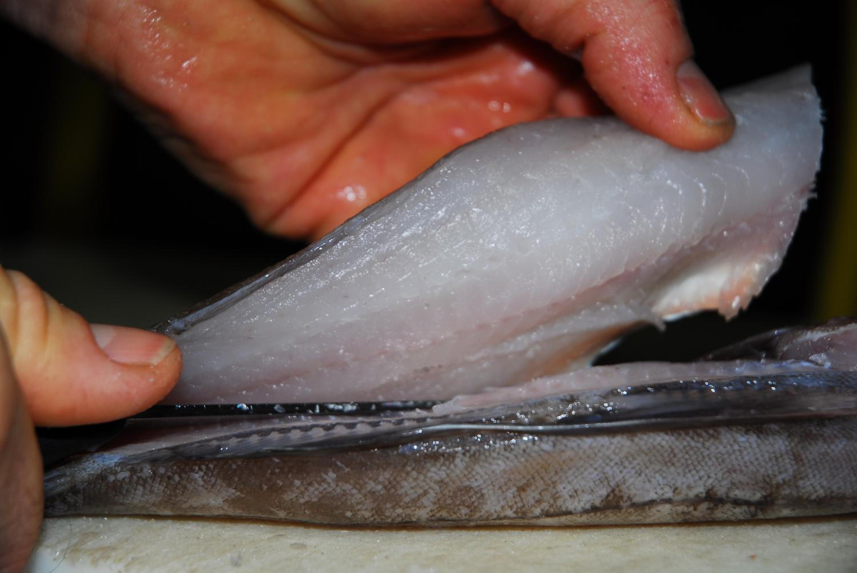 Chambres d'Hotes Le Logis du Port Paradis - Property Image 3