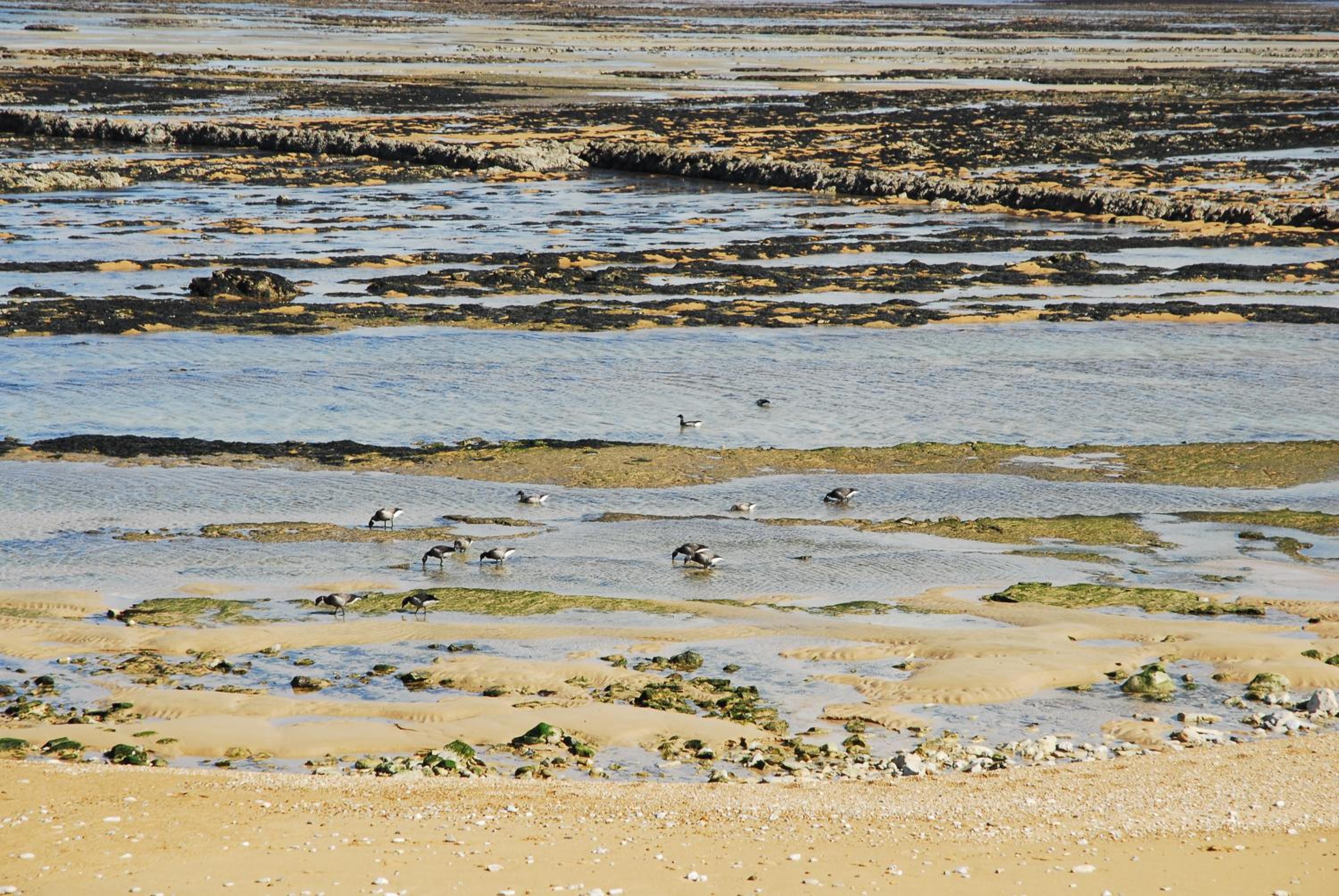 Chambres d'Hotes Le Logis du Port Paradis - Property Image 6