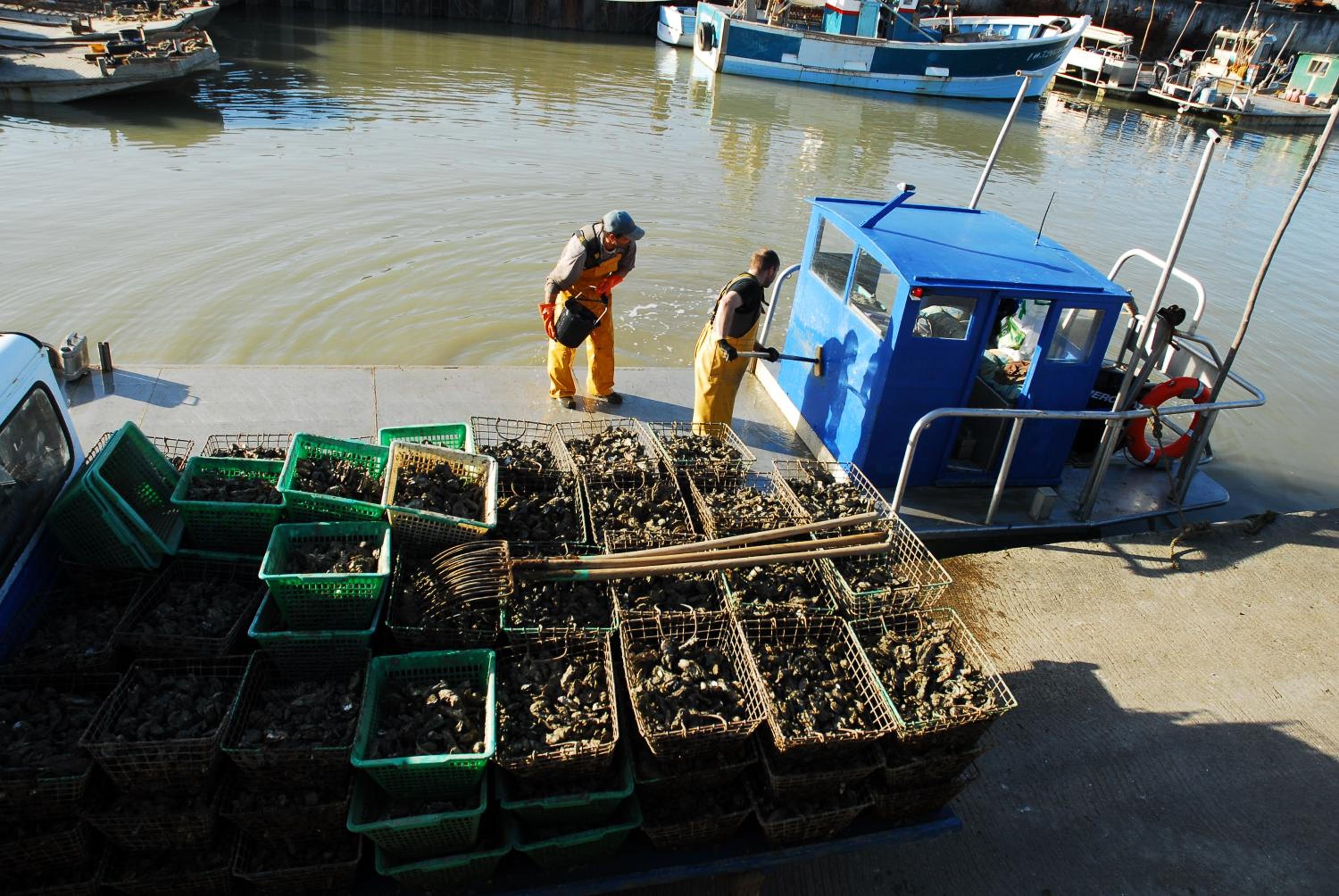Chambres d'Hotes Le Logis du Port Paradis - Property Image 7