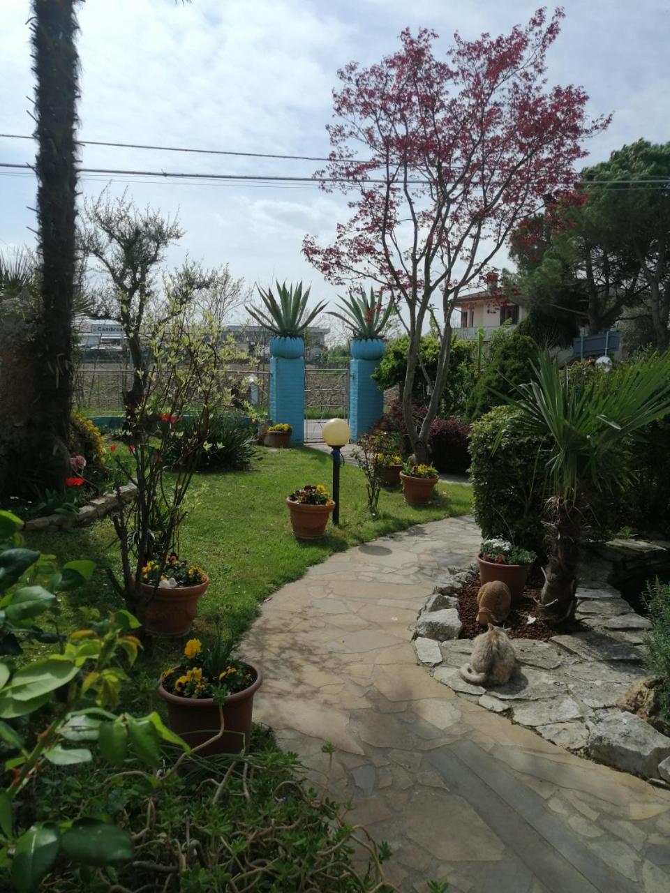 LA CARLOTTINA