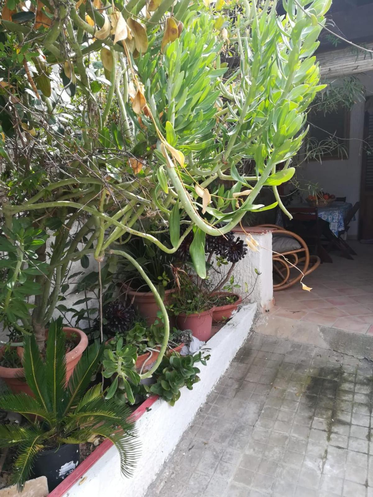 Photo 35