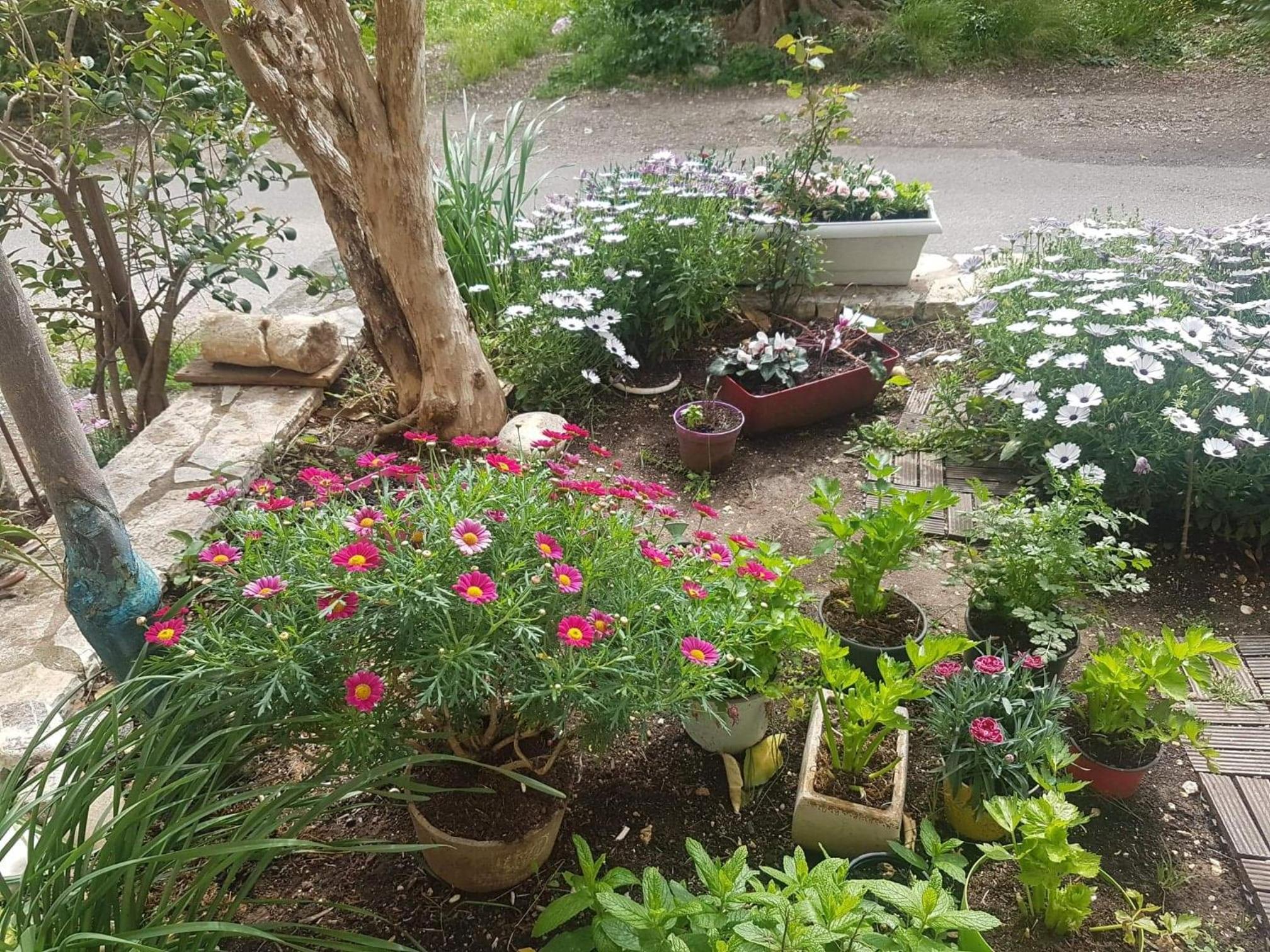 Photo 15