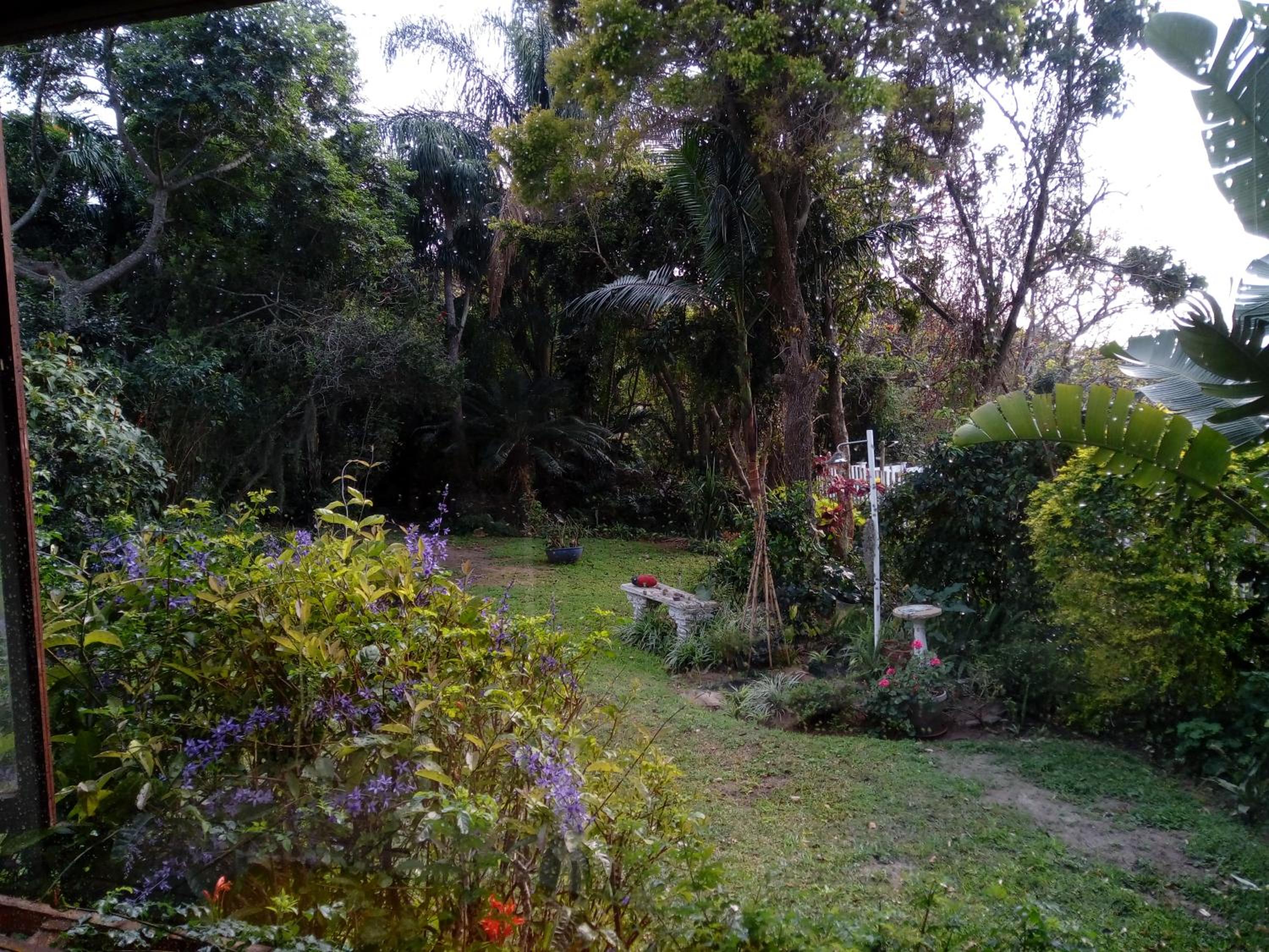 Photo 58