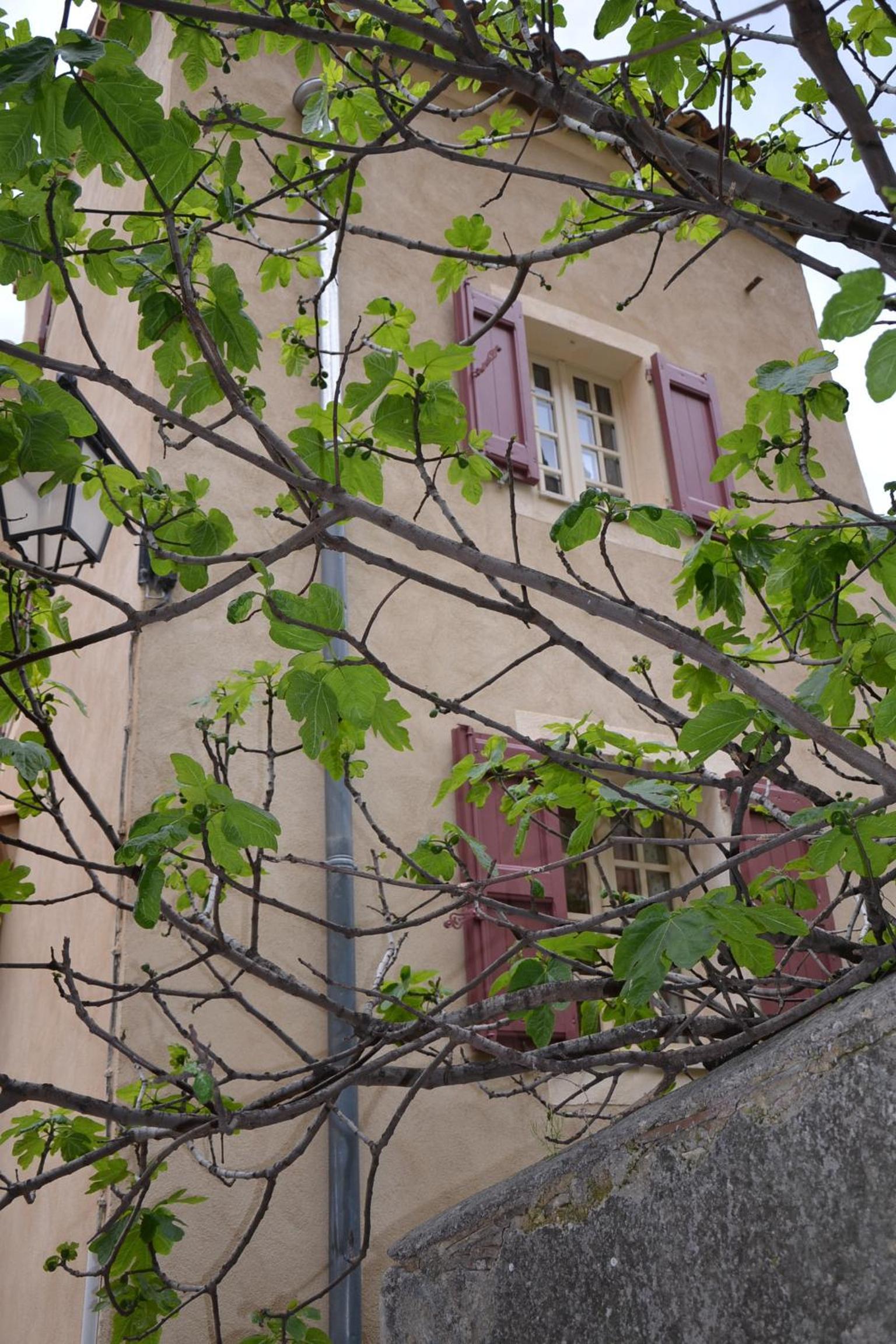 Photo 51