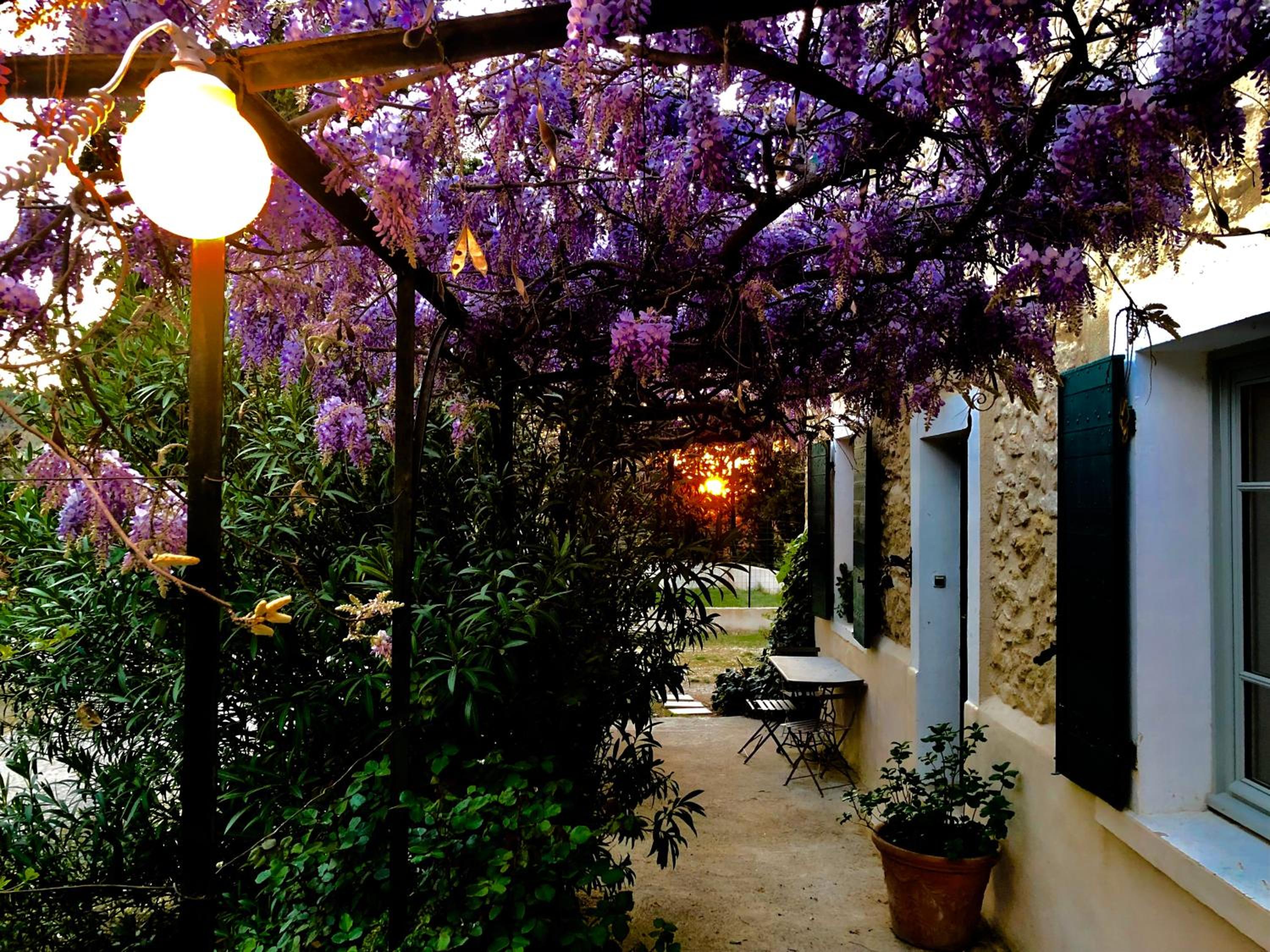 Campagne Paumier view 2
