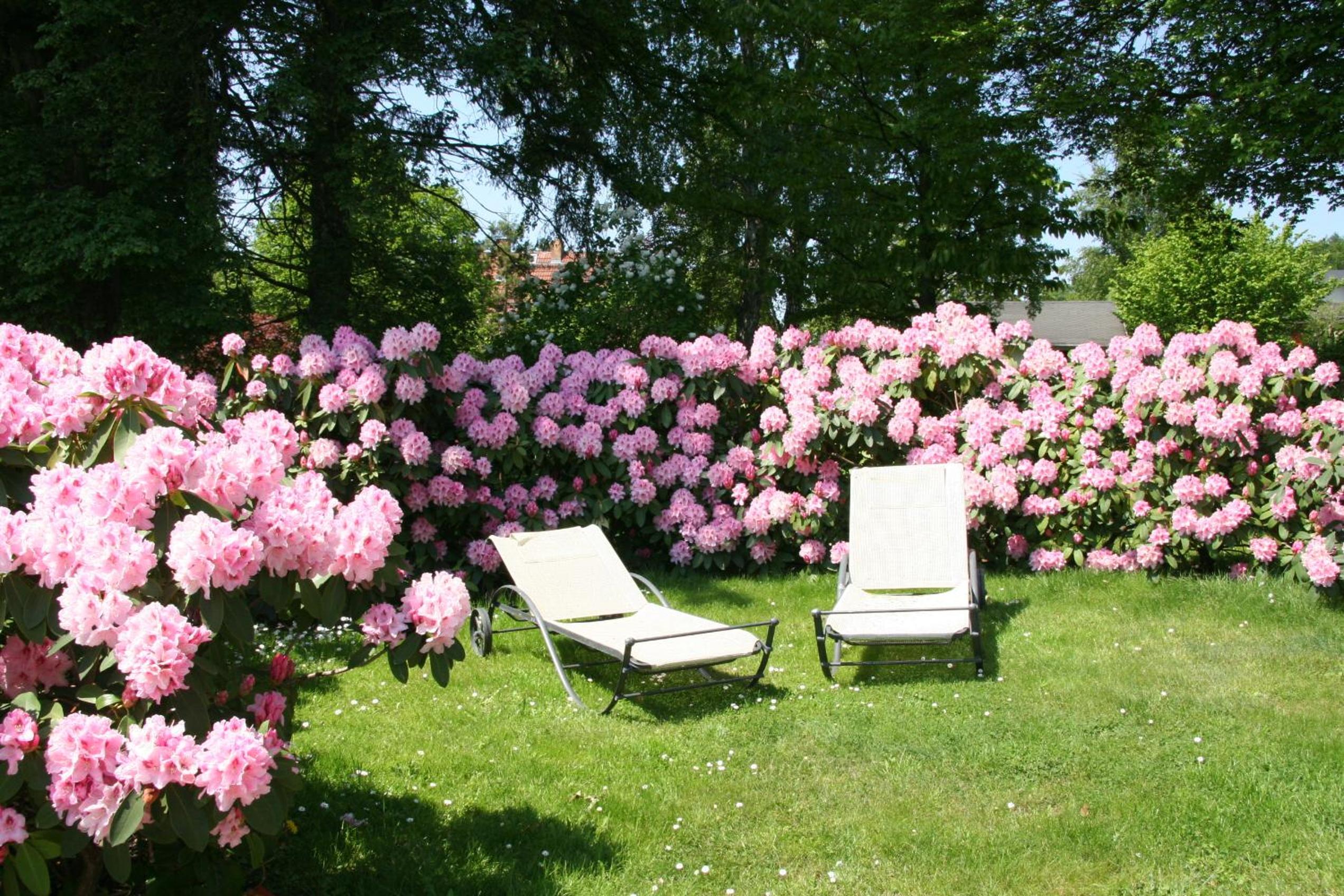 Pension Villa Edelweiß