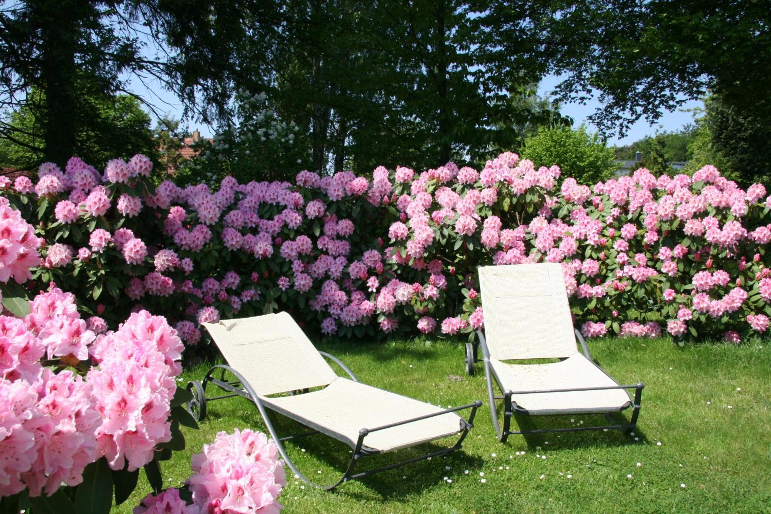 Pension Villa Edelweiß