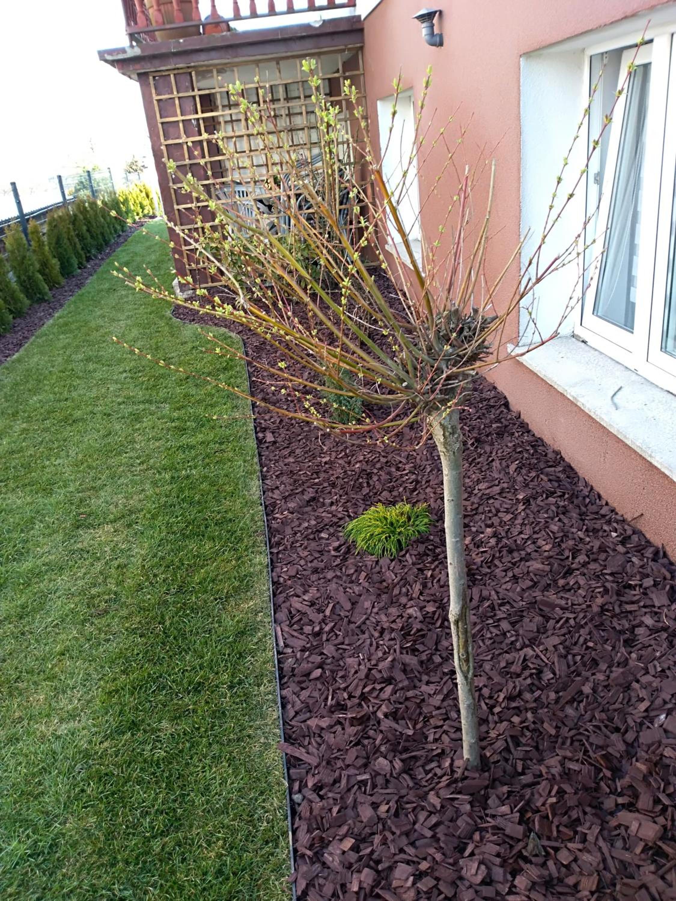 Photo 44