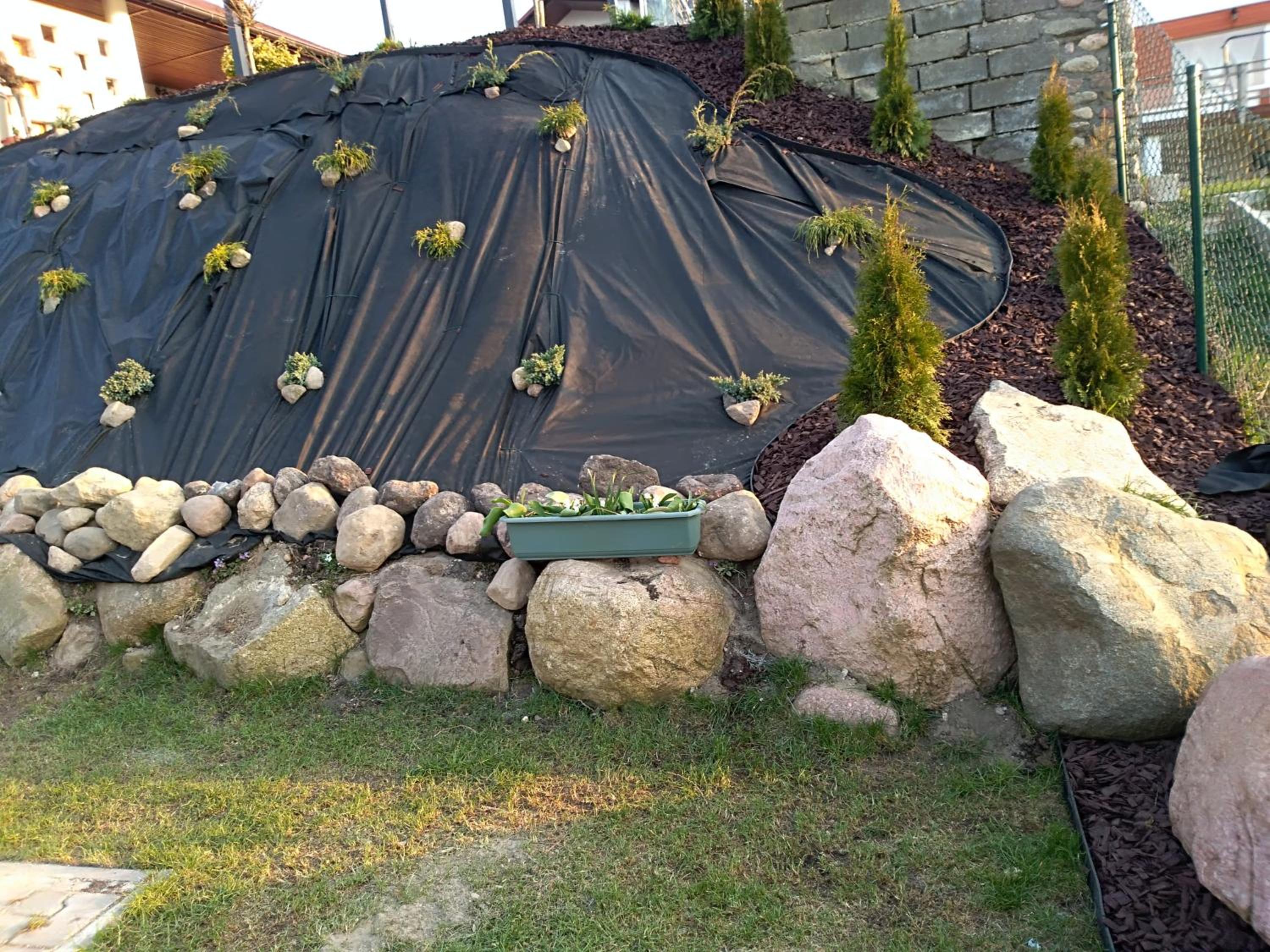 Photo 46