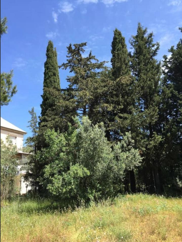 Photo 41