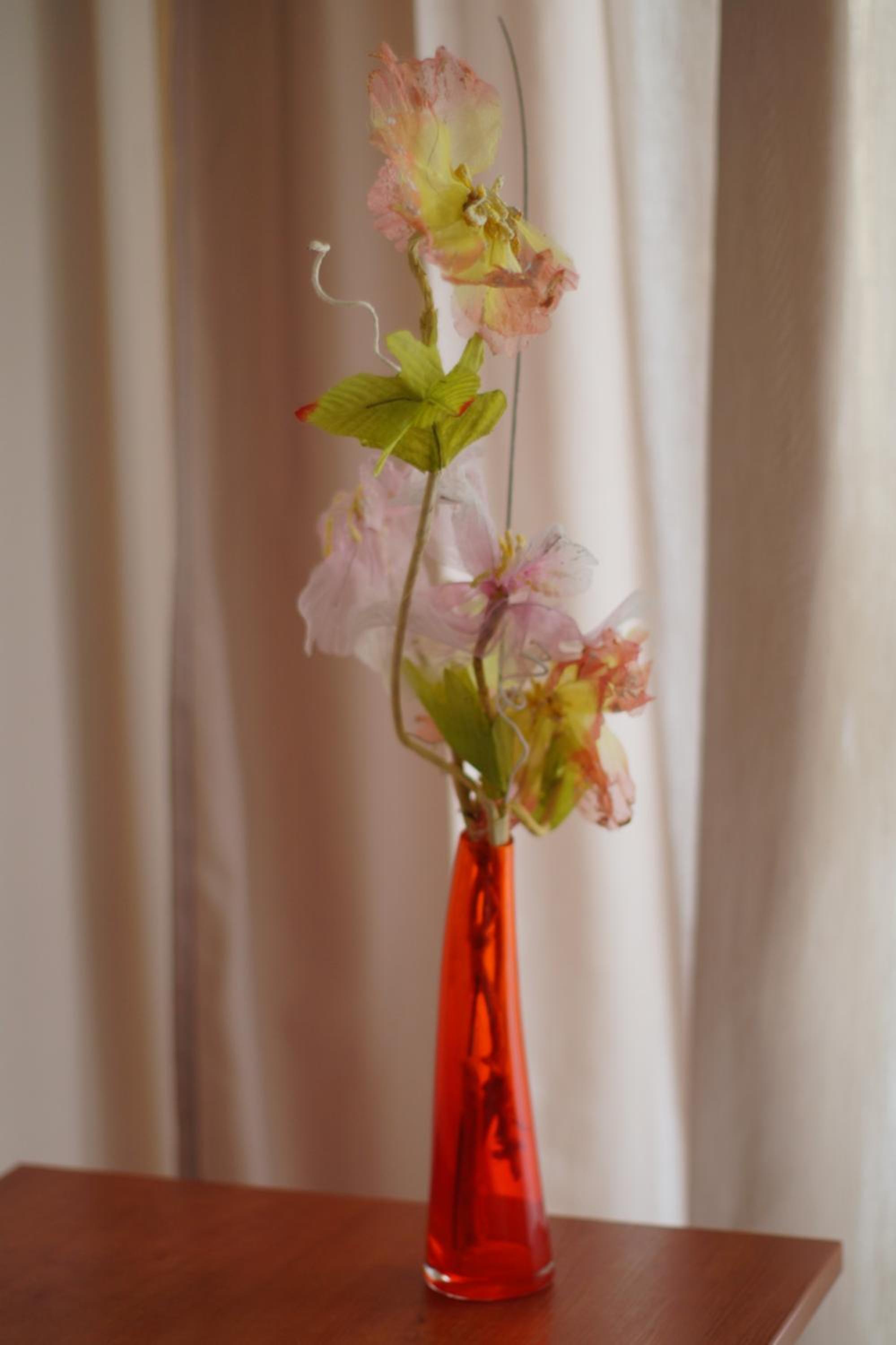 Photo 37