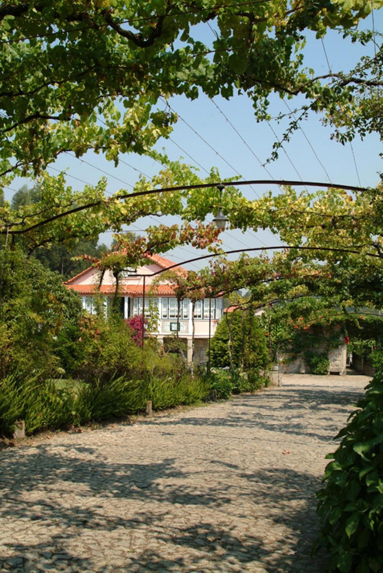 Quinta do Vale do Monte view 2