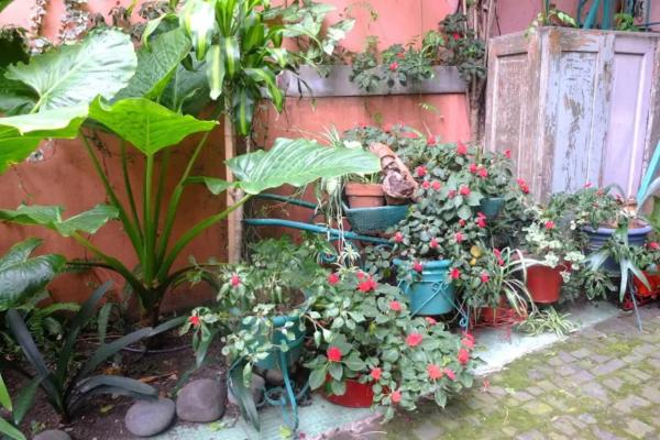 Photo 11