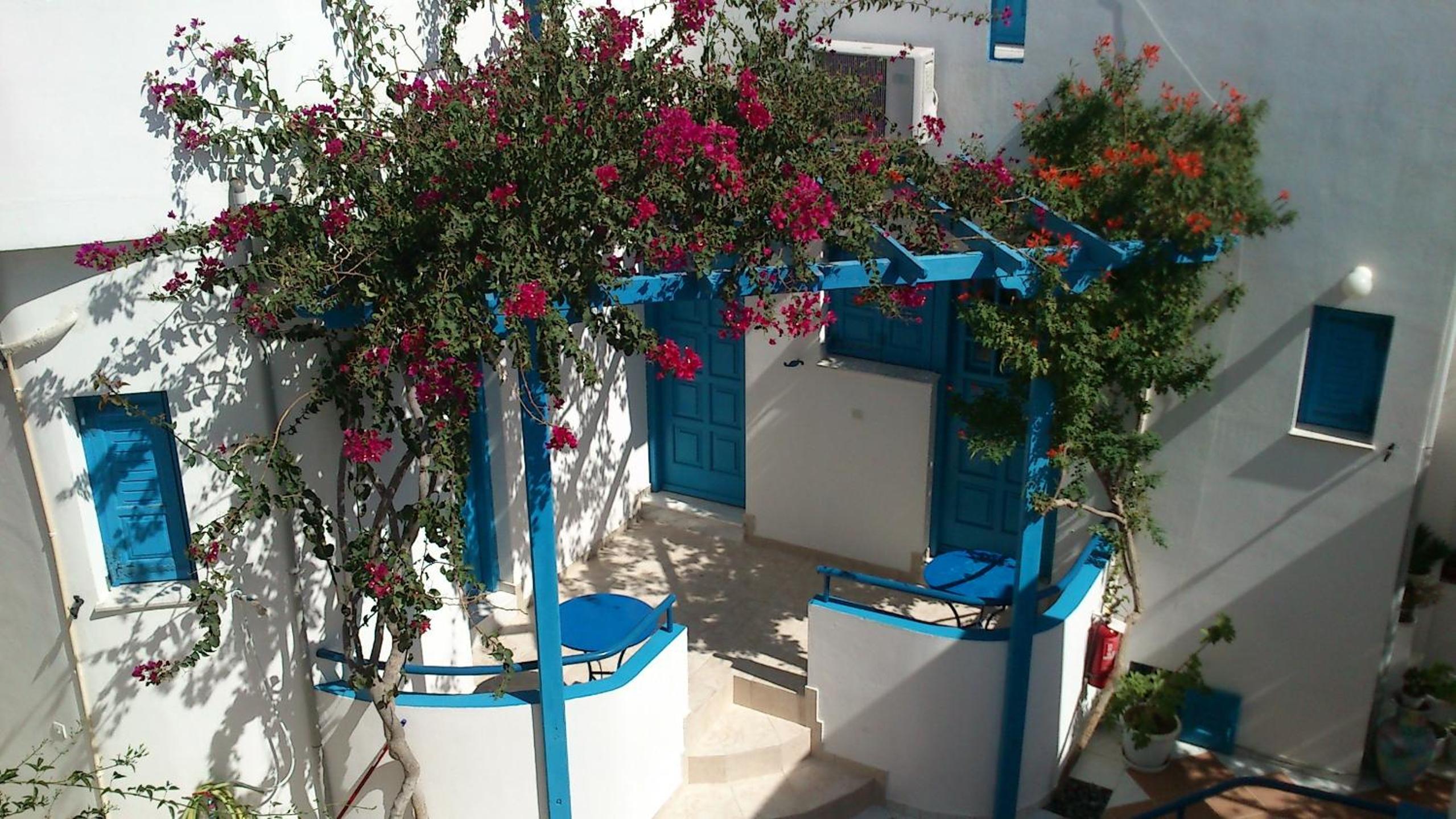 Photo 11