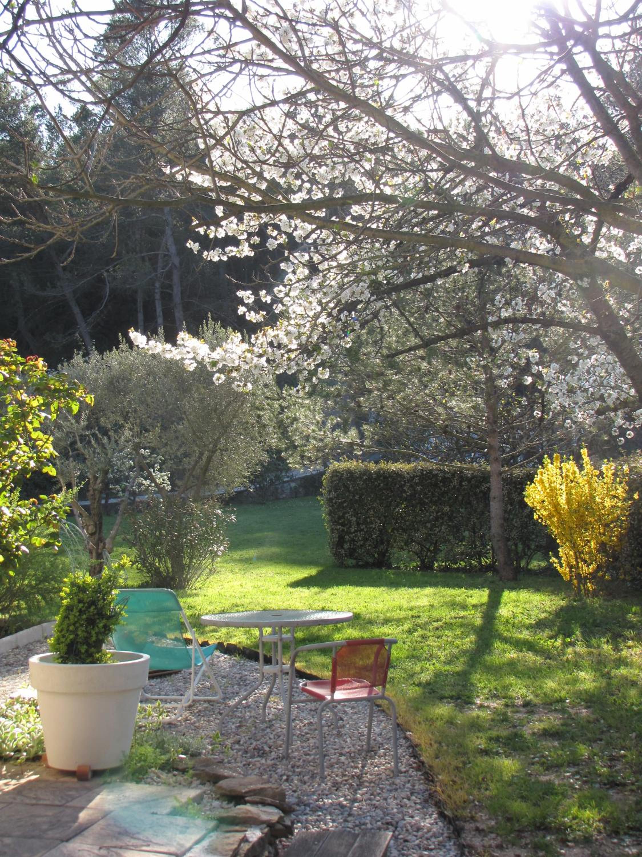 Photo 12