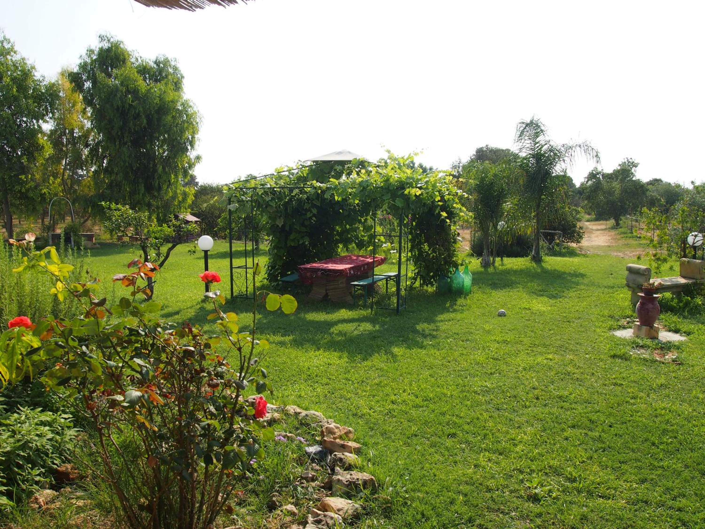 Agrib&B Lemontree Garde'N view 2