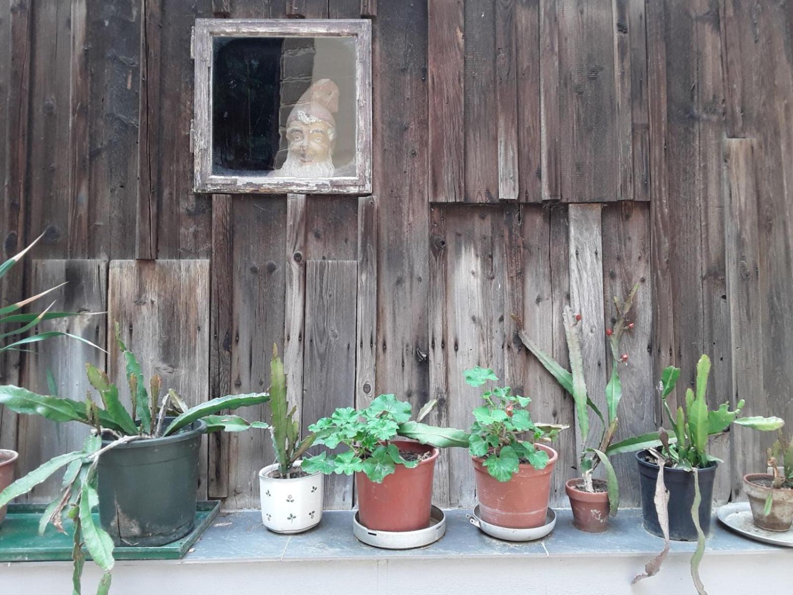 Haus zum Prater