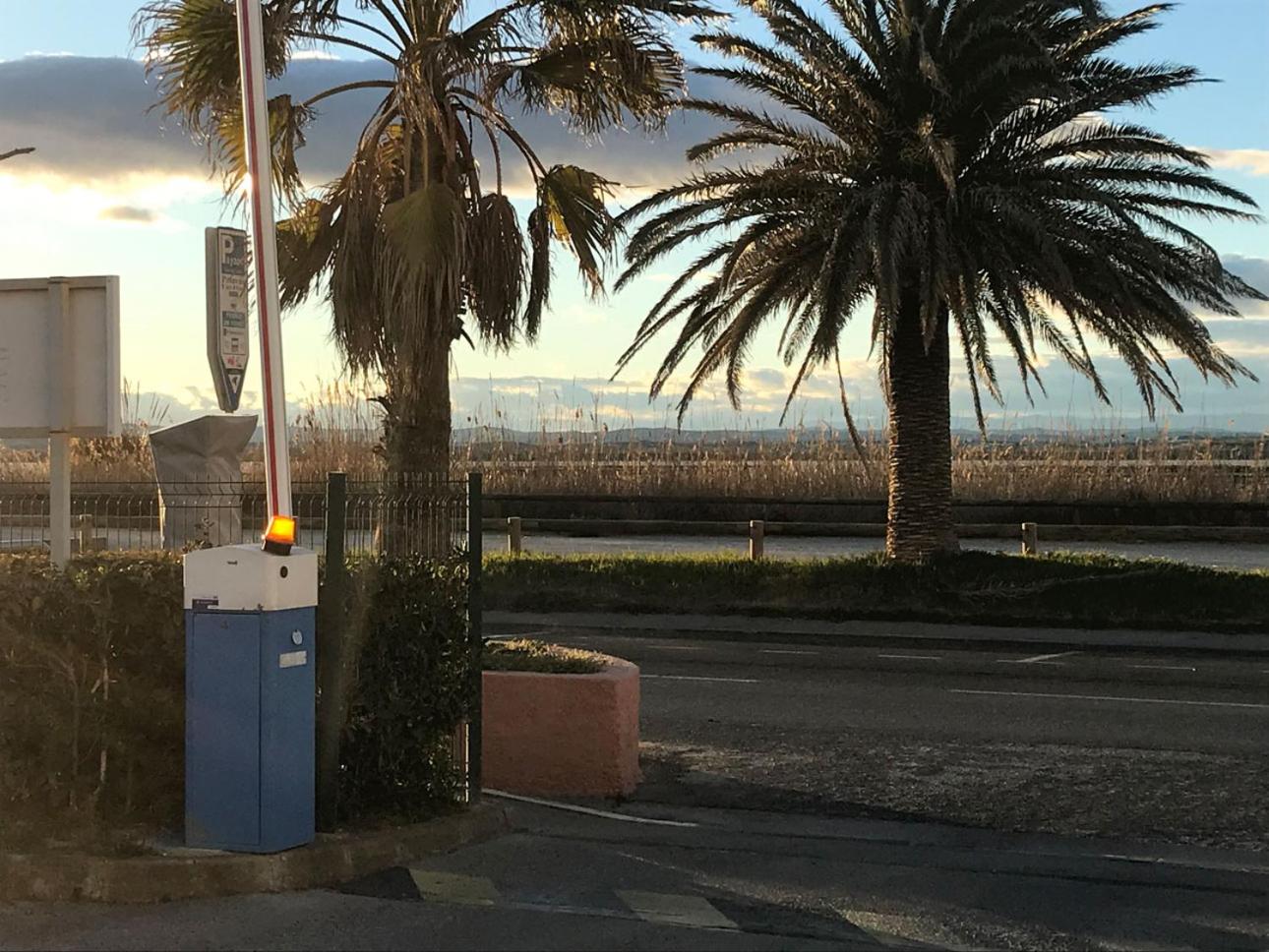 Goelands, photo 16