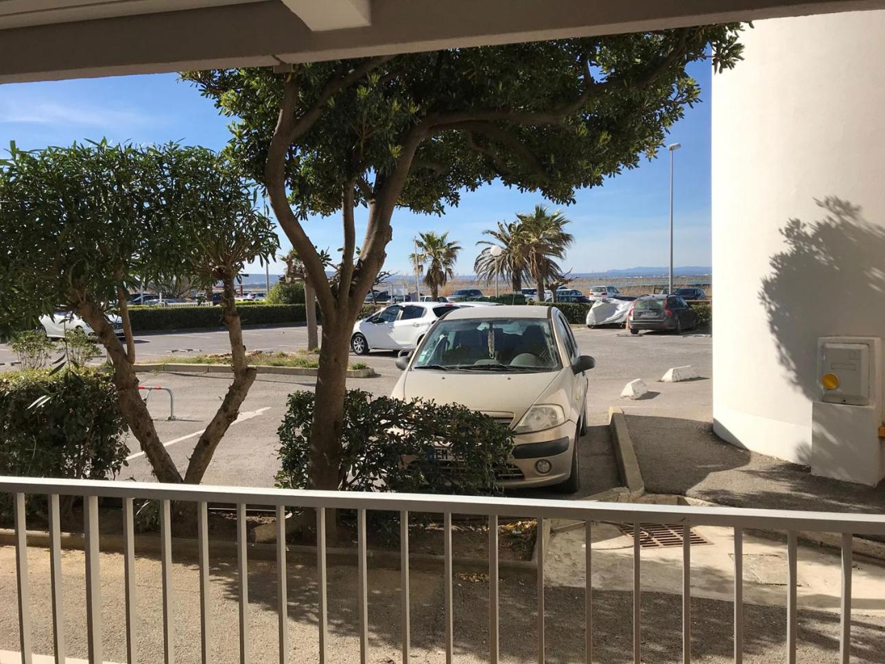 Goelands, photo 15