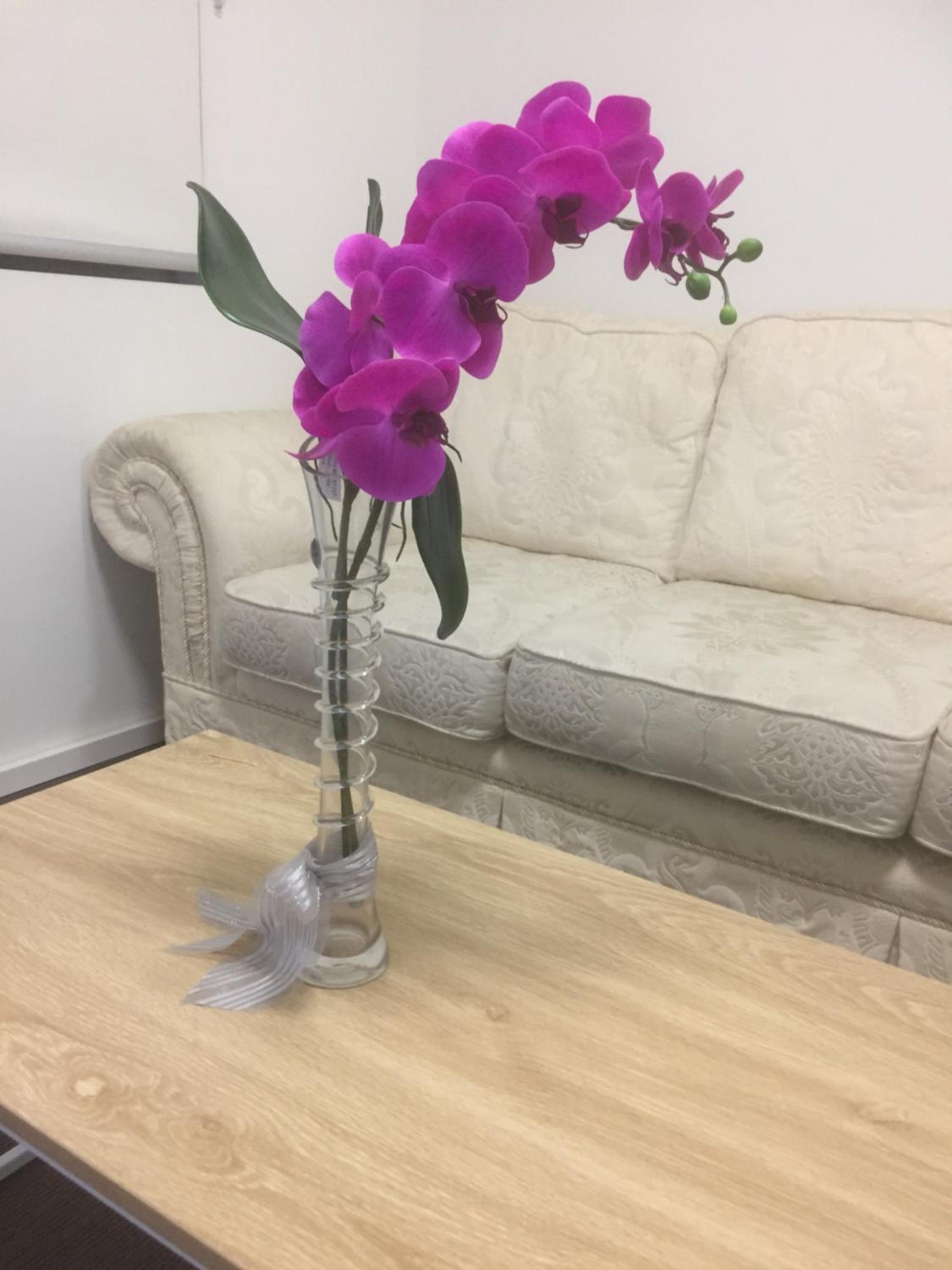 The Happy Delightful Place - Entire 2 Room Apartment