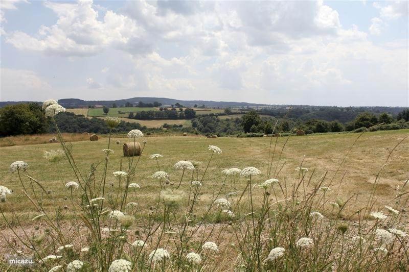 La Belle Vue
