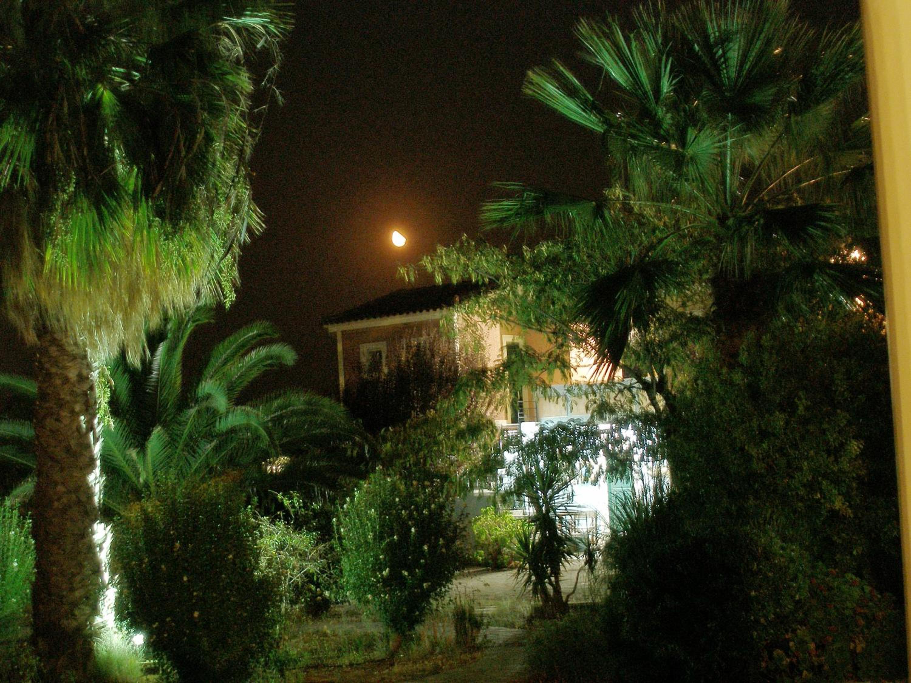 Photo 57