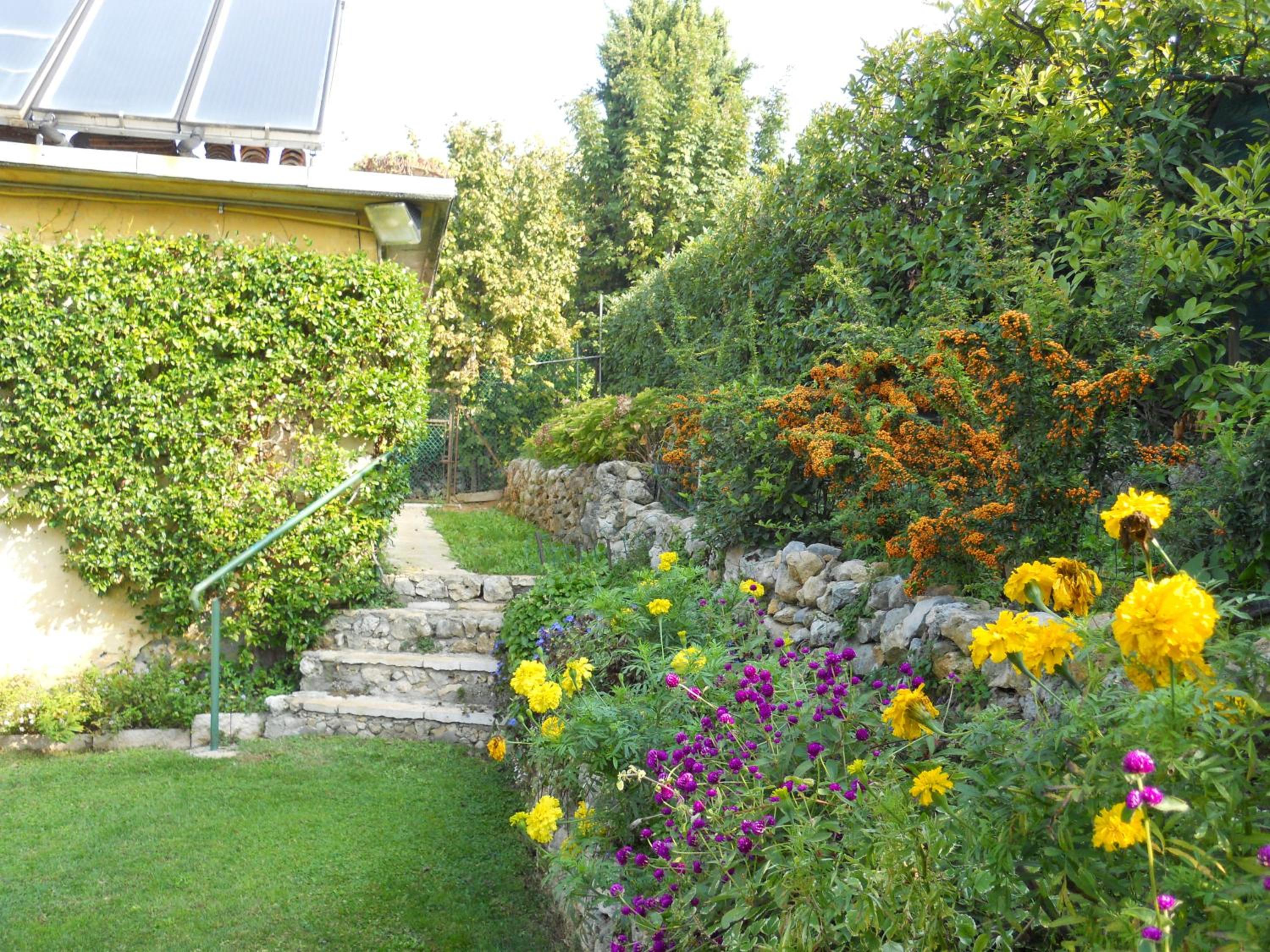 Photo 43
