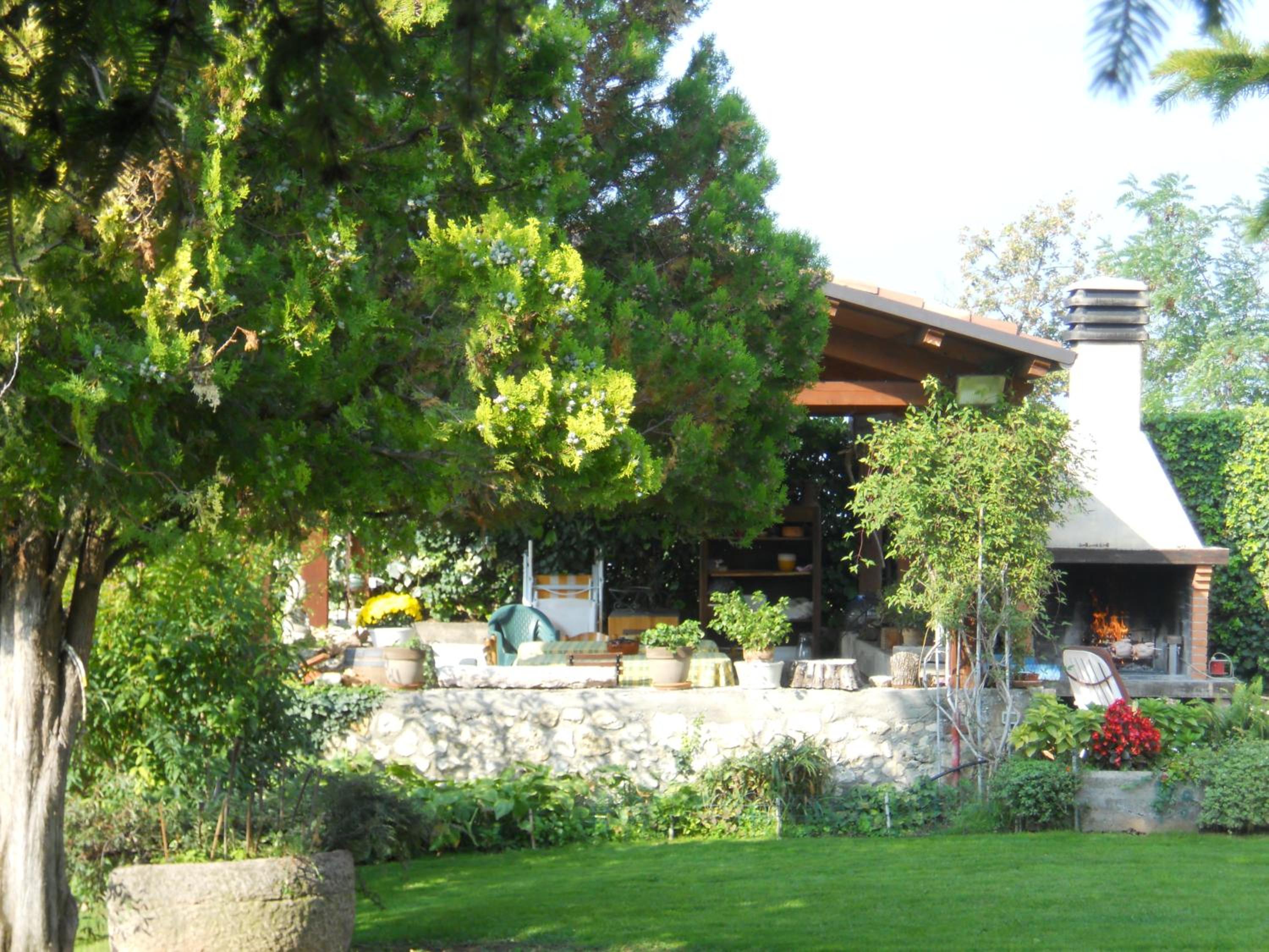 Photo 44