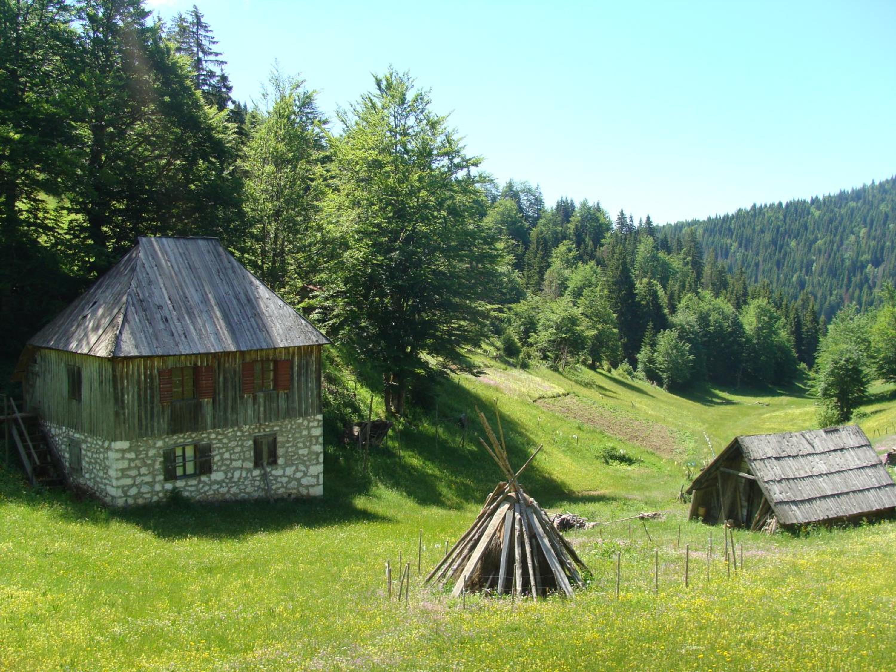 Photo 40