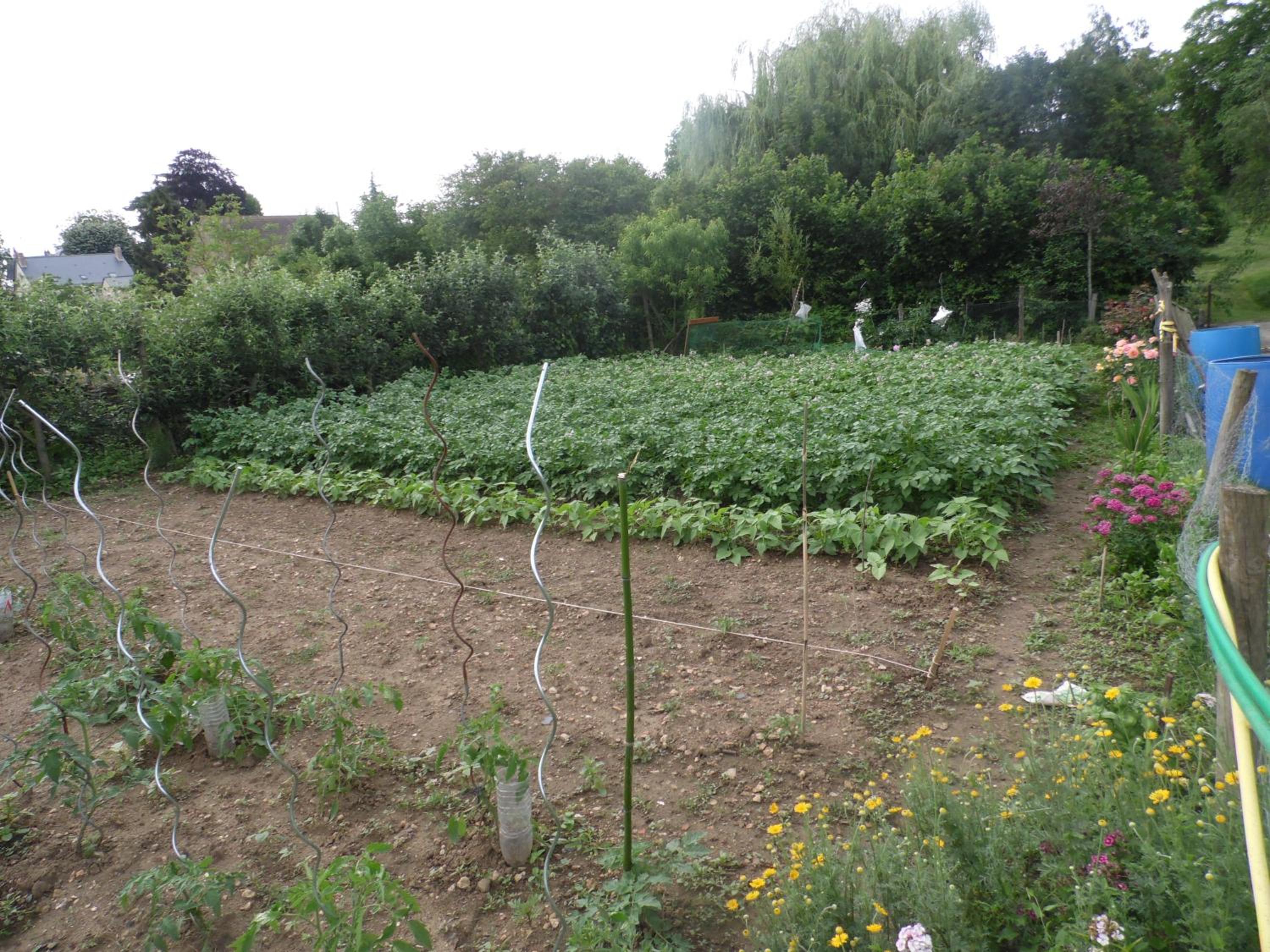 AU PARFUM DES LAVANDES view 5