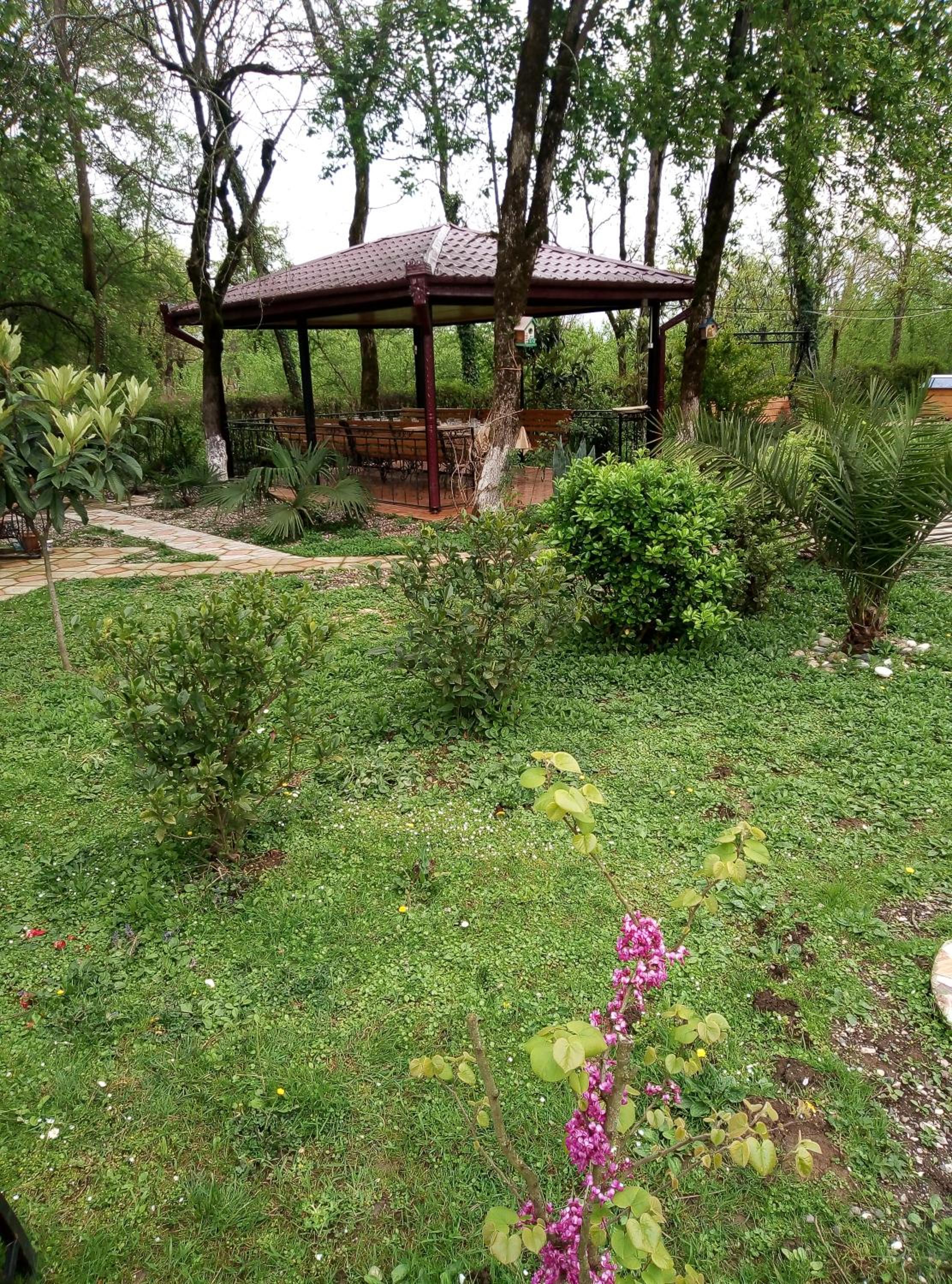 Photo 12