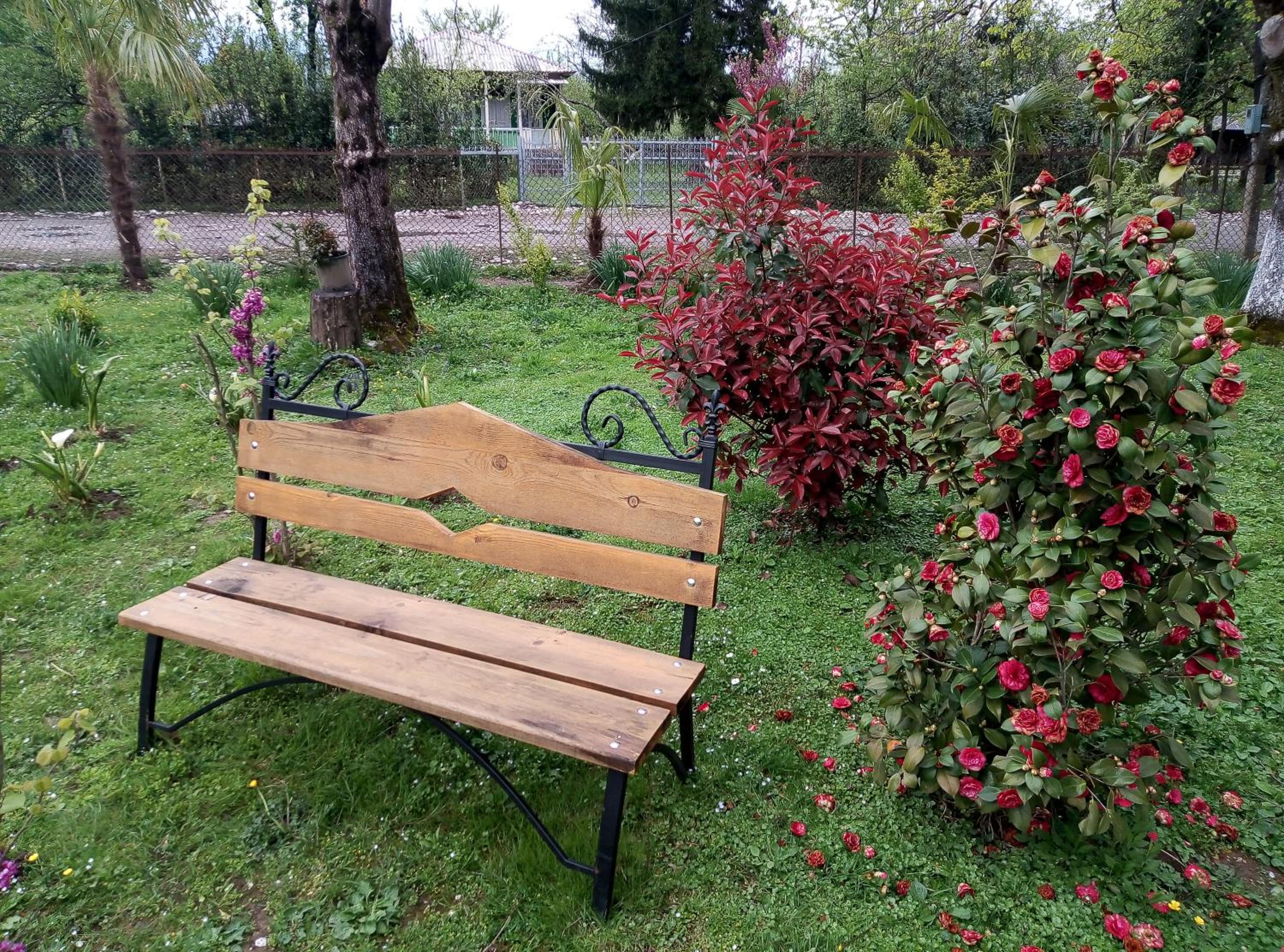 Photo 18