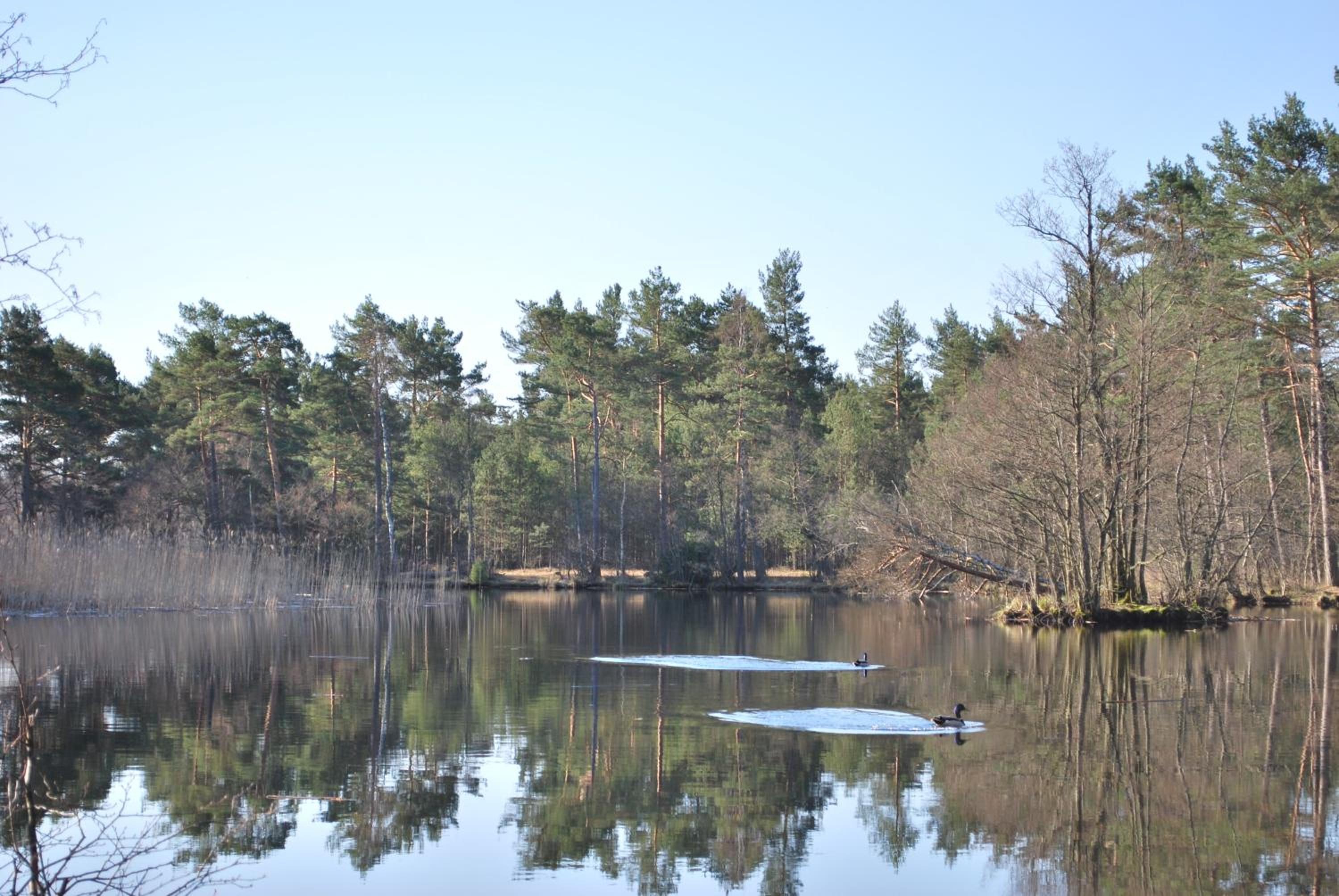 Żurawie domki letniskowe view 4