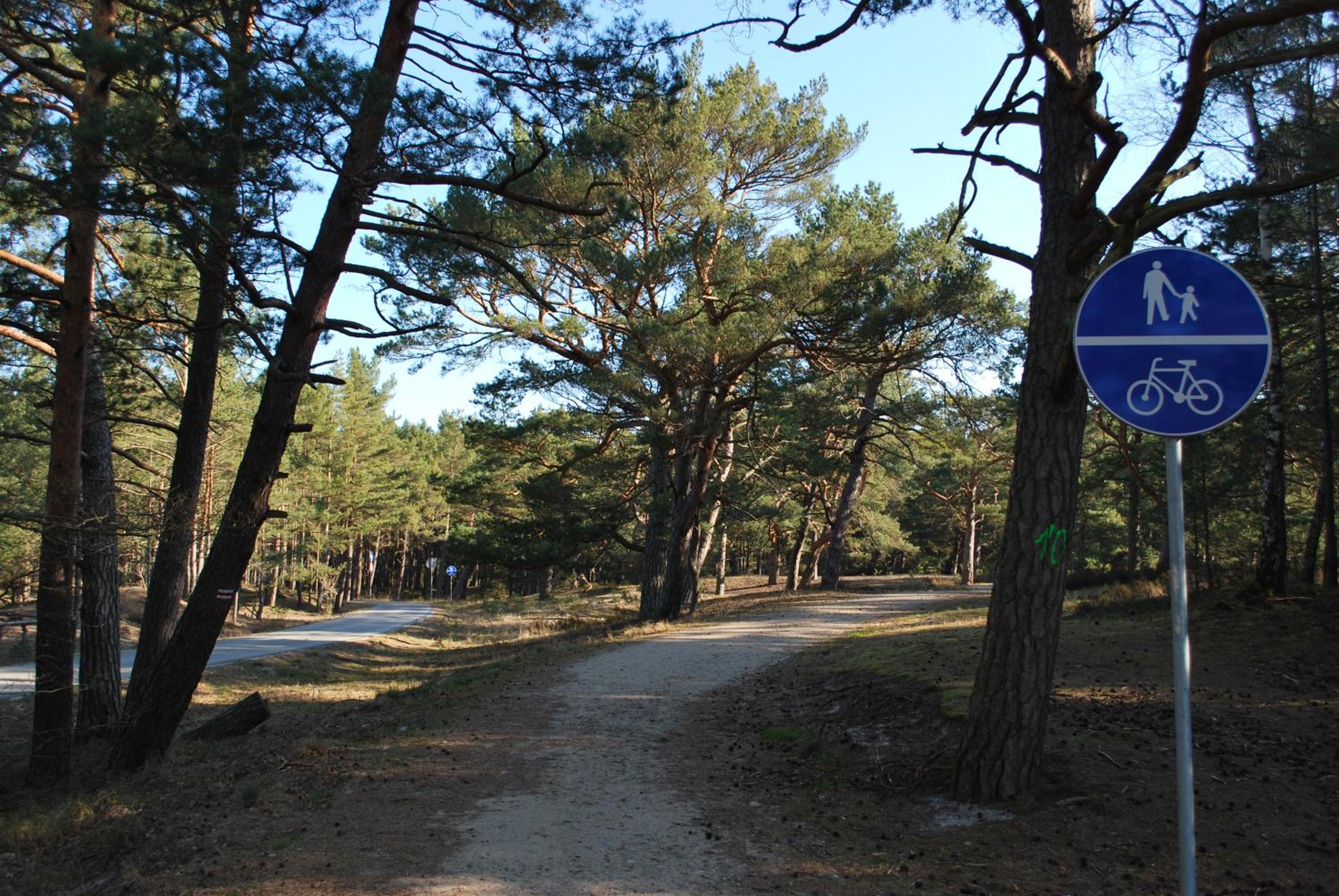 Żurawie domki letniskowe view 5