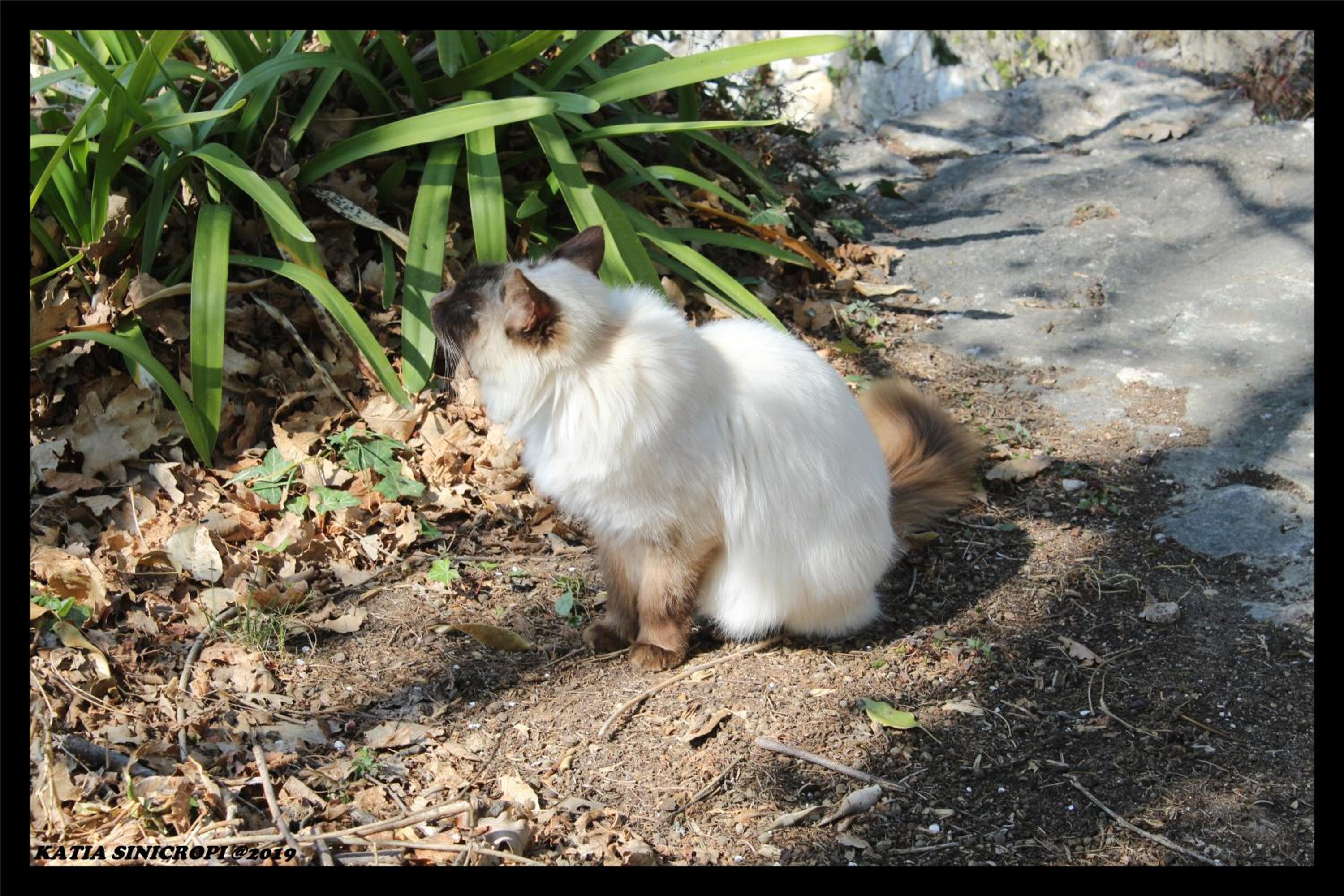 Photo 46