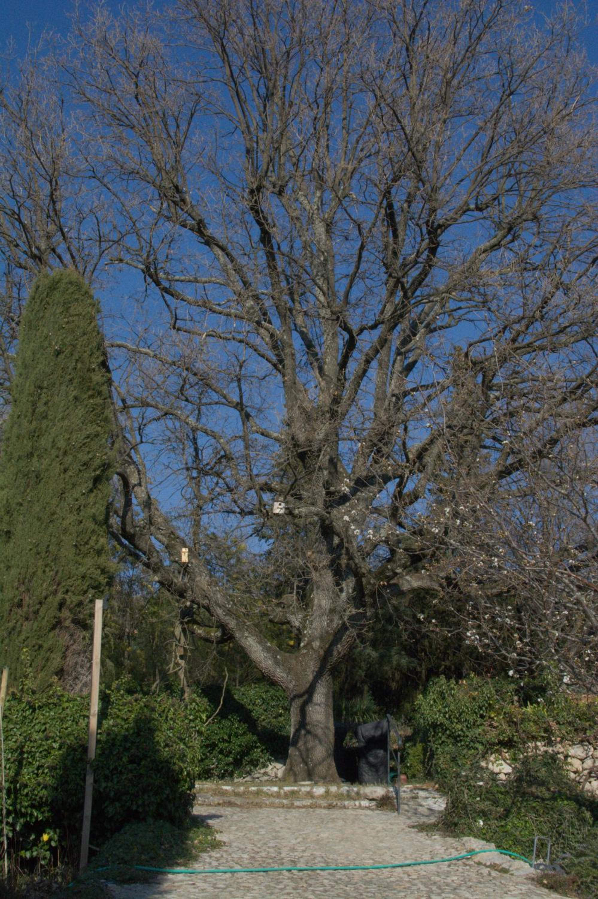 Photo 34