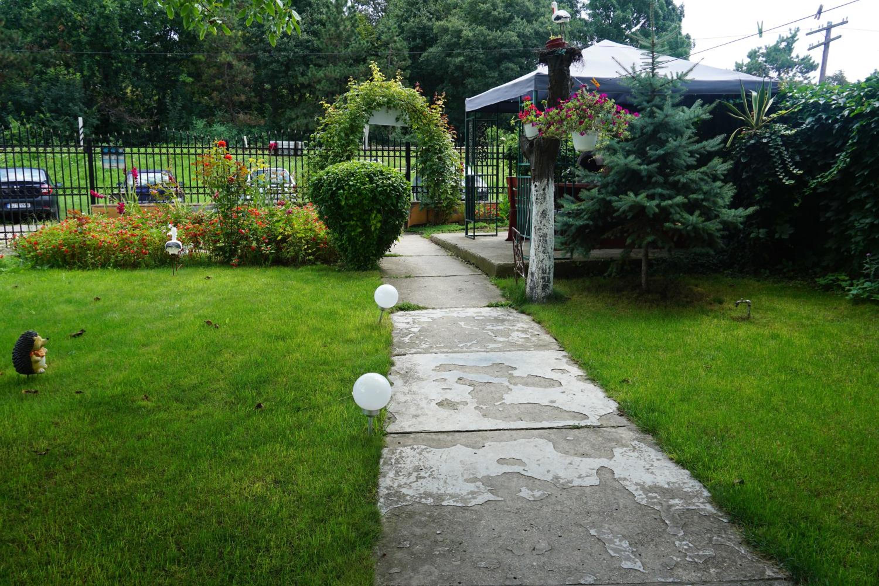Photo 34
