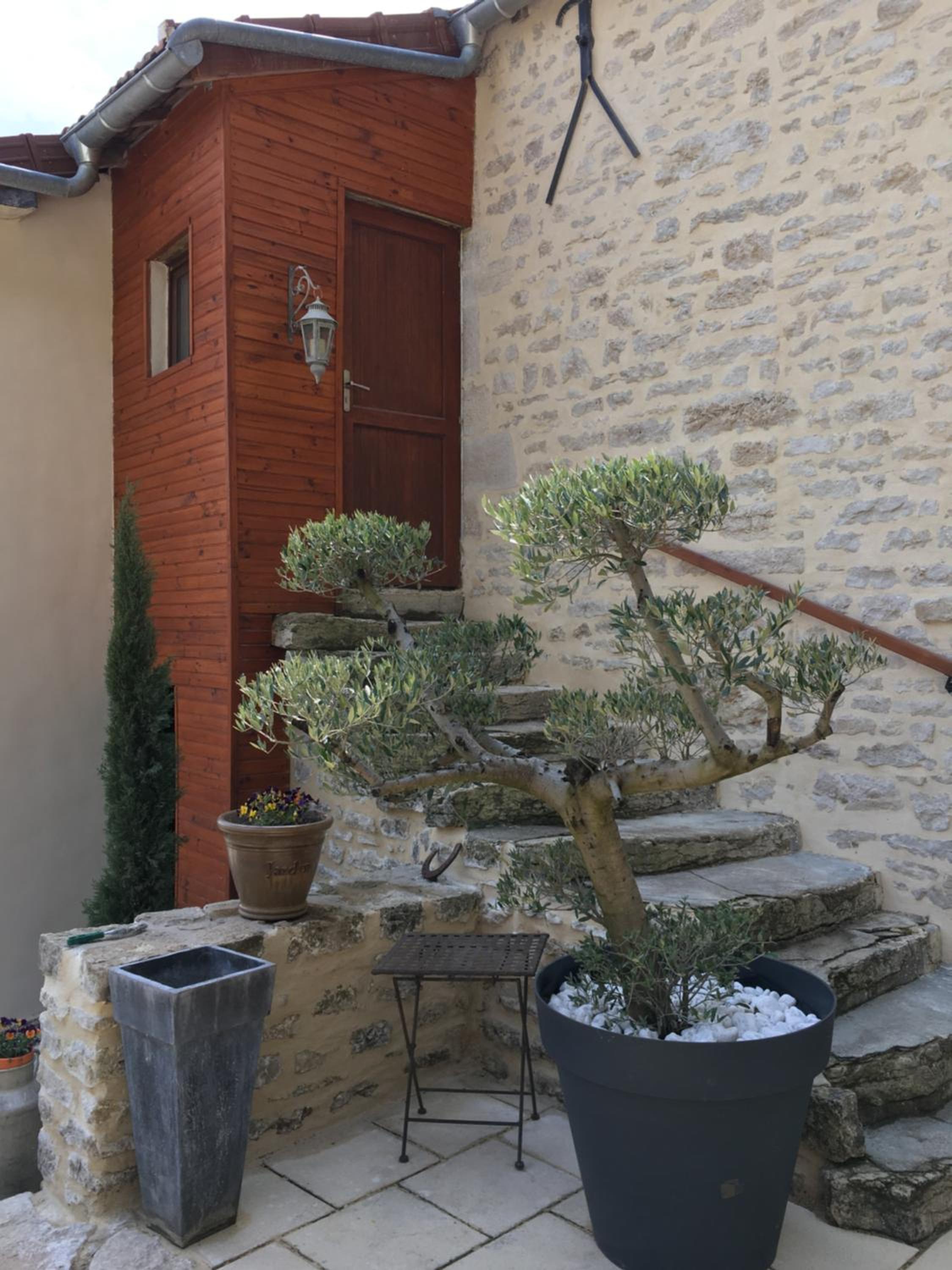 Photo 8
