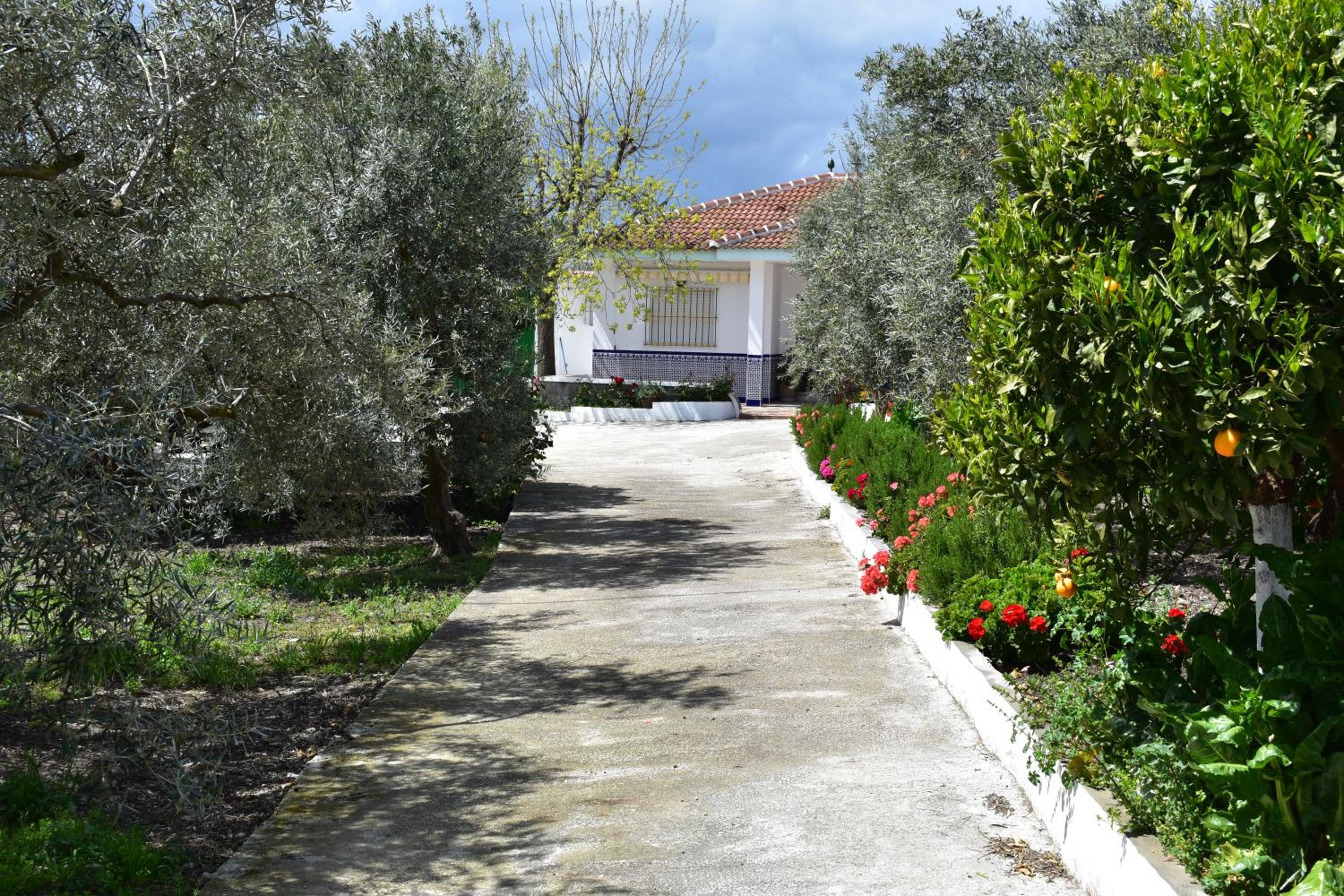 CASA RURAL ALEJO