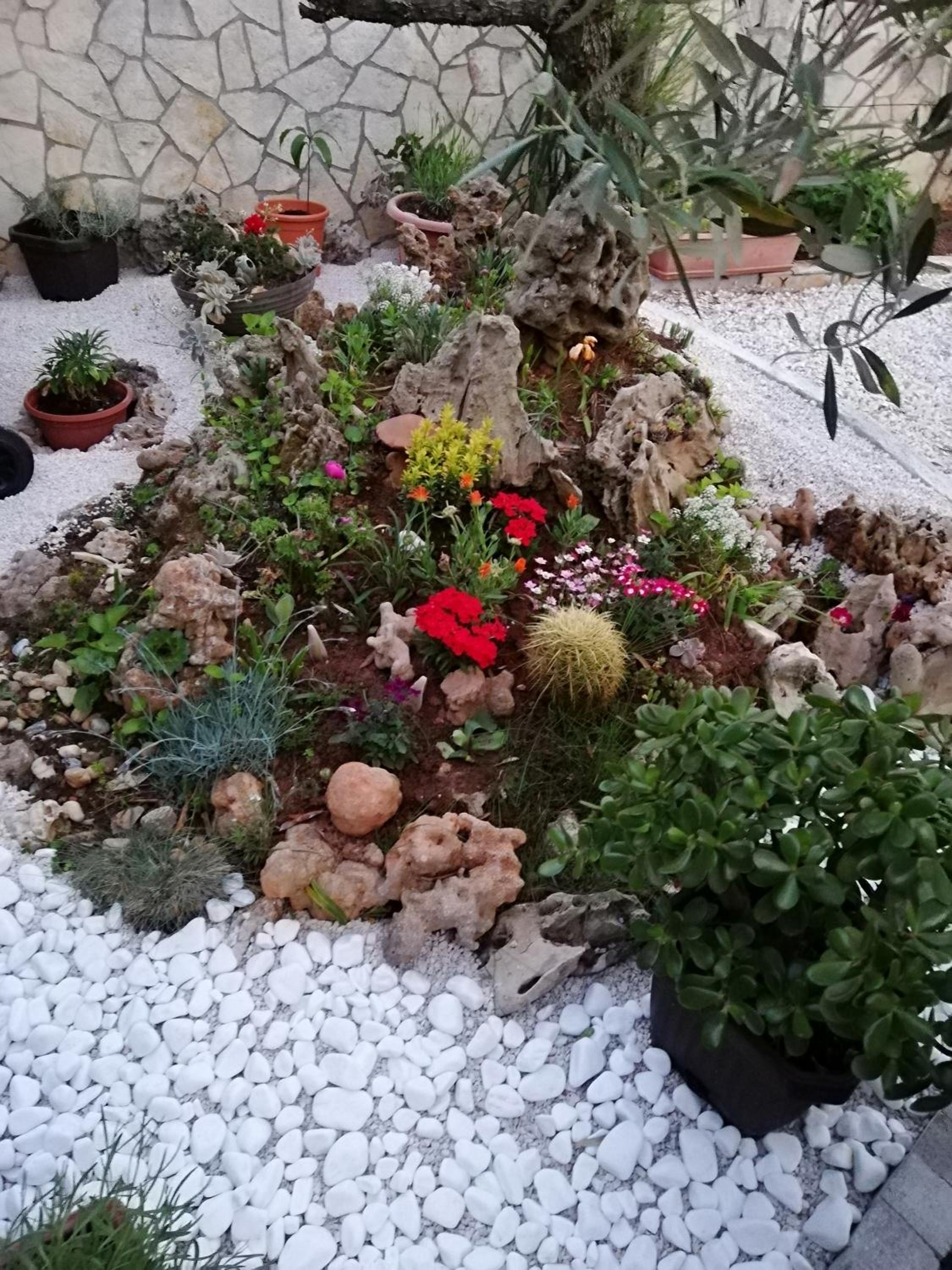 Photo 35