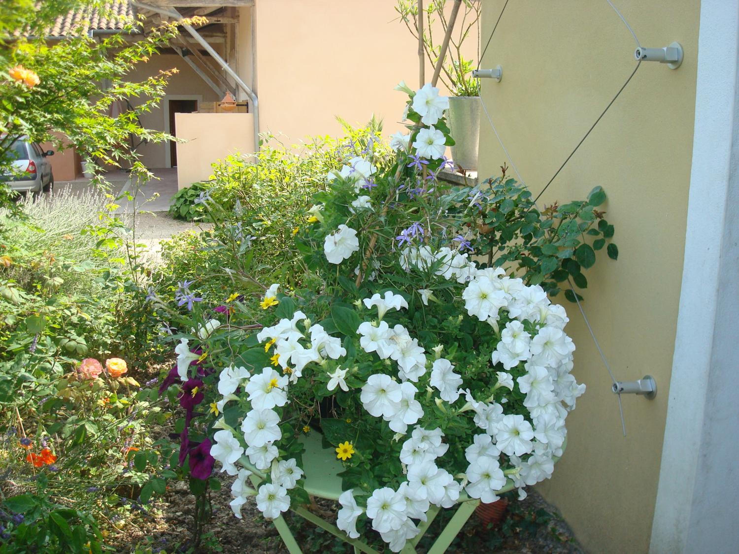 Photo 10