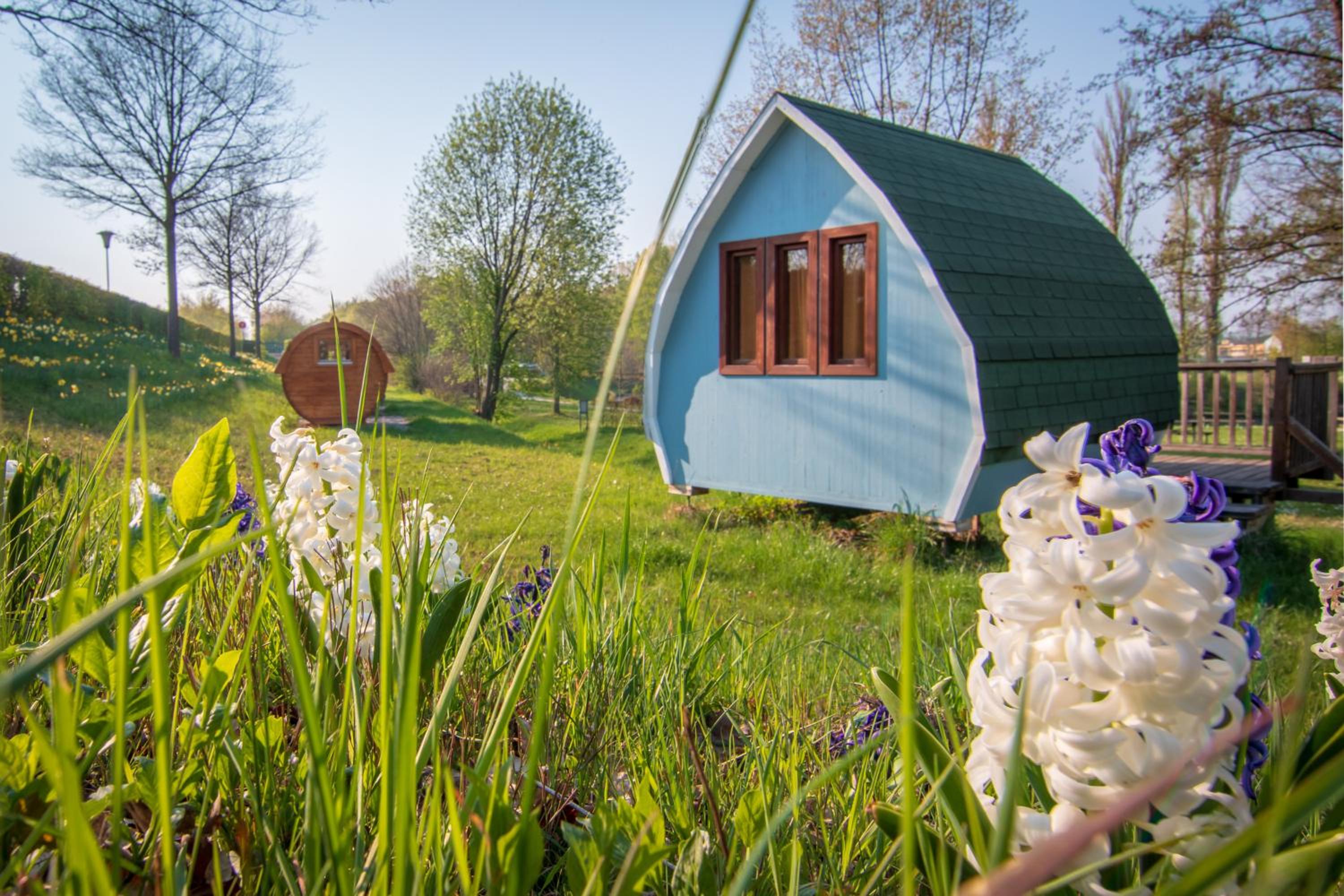 Camping & Pension Au an der Donau