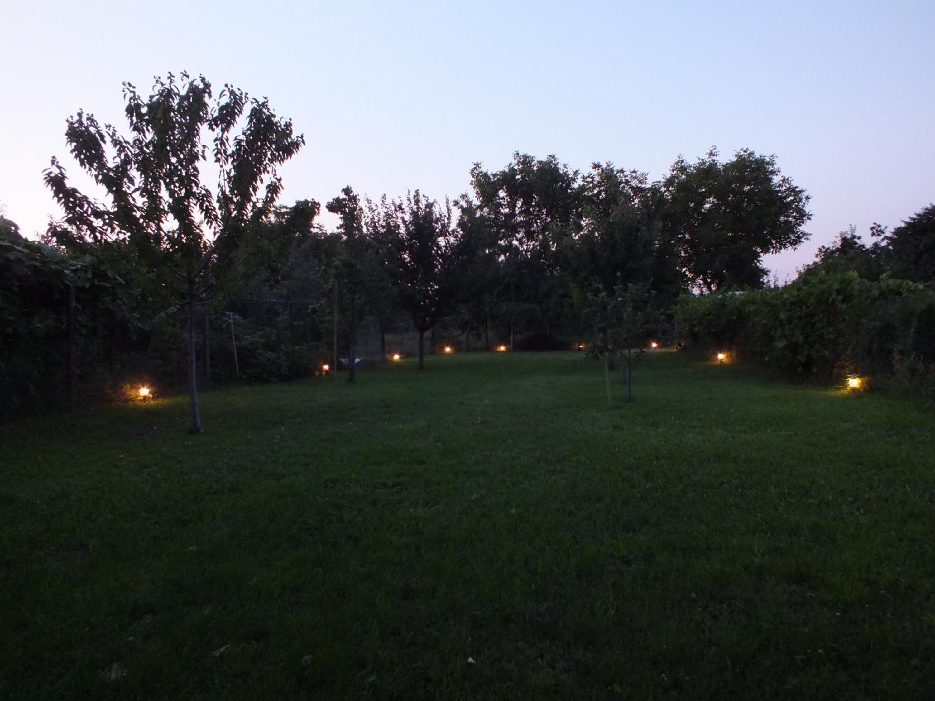 Photo 25