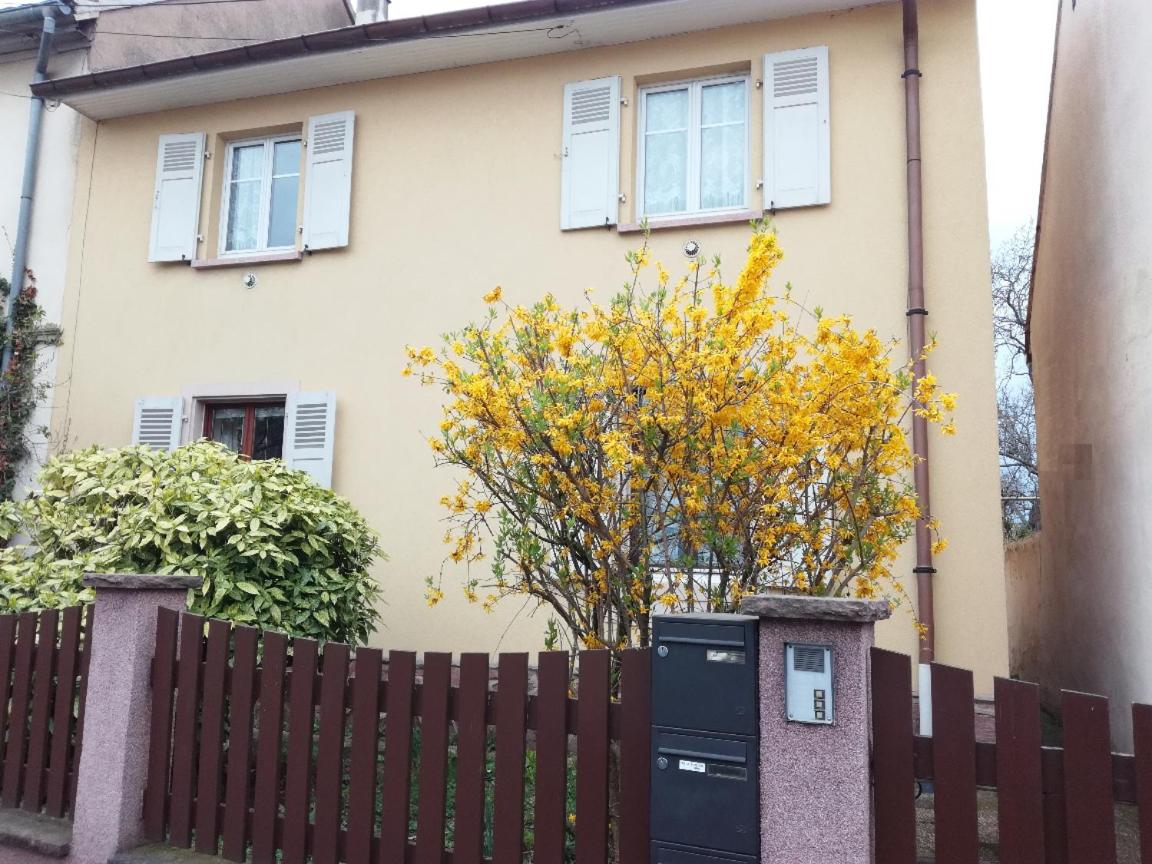 Appartement avec jardin à Colmar view 5