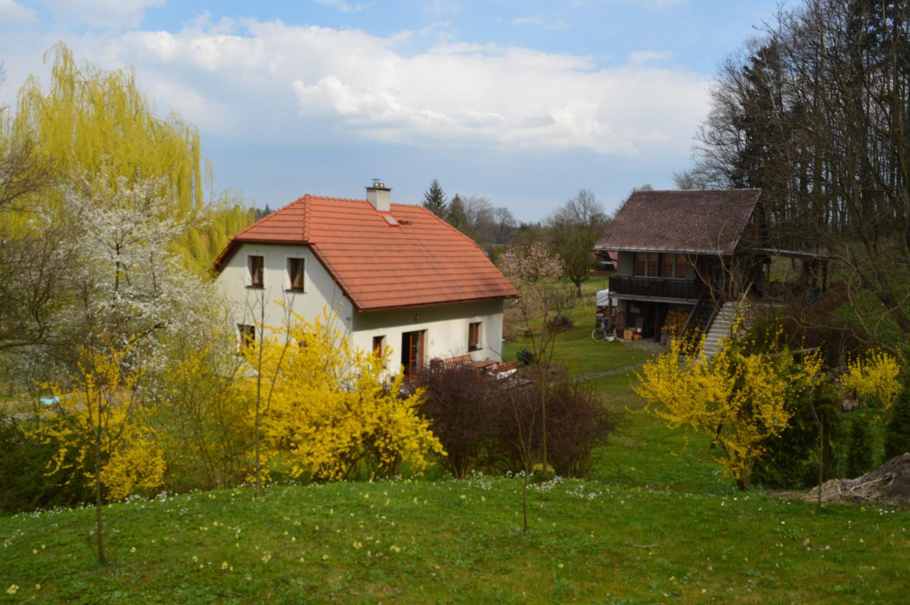 Photo 29