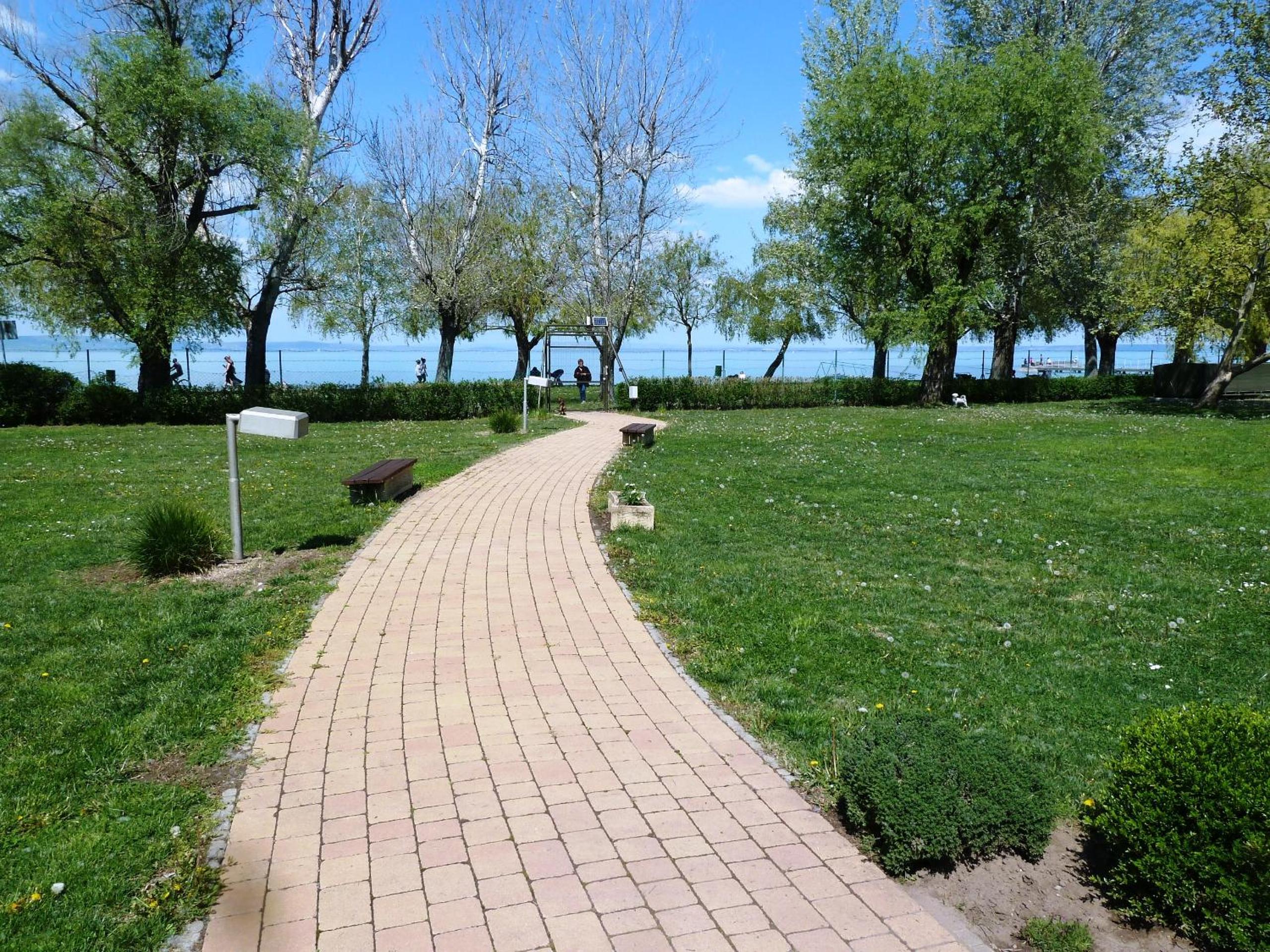 Photo 24