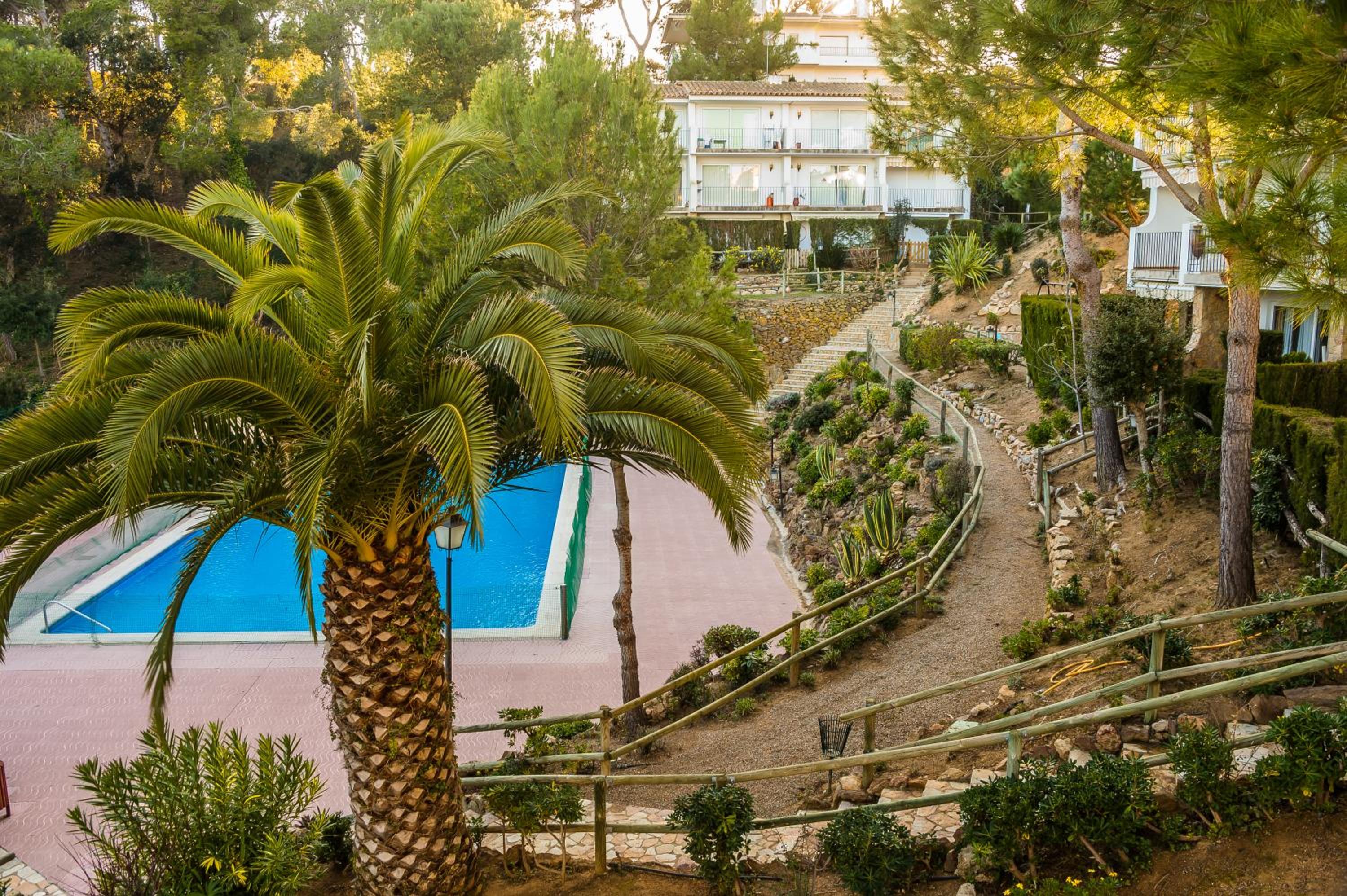 AE-1 CALELLA DE PALAFRUGELL, 4 Pax photo 2