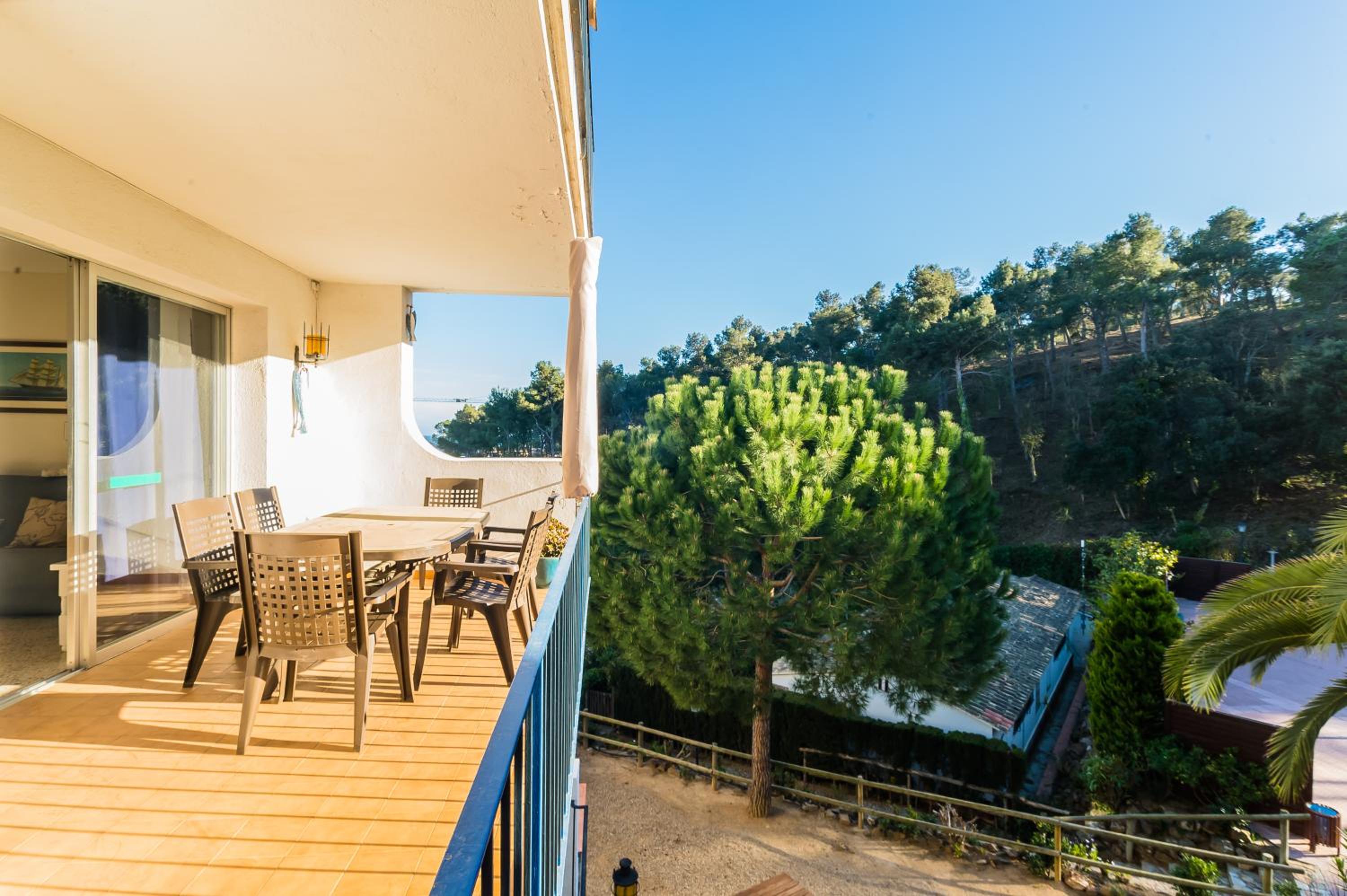 AE-1 CALELLA DE PALAFRUGELL, 4 Pax photo 3
